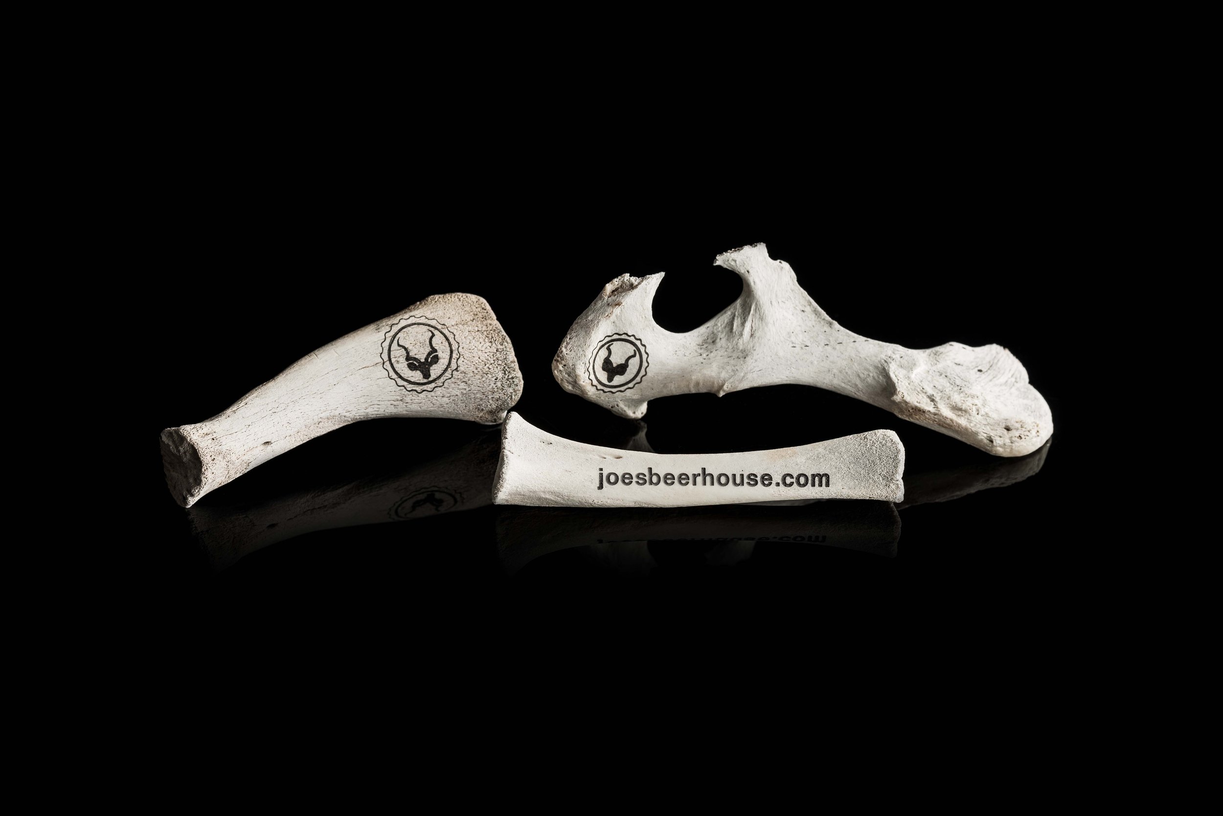 2016_07_19 Joes Beerhouse Bones-13067.jpg