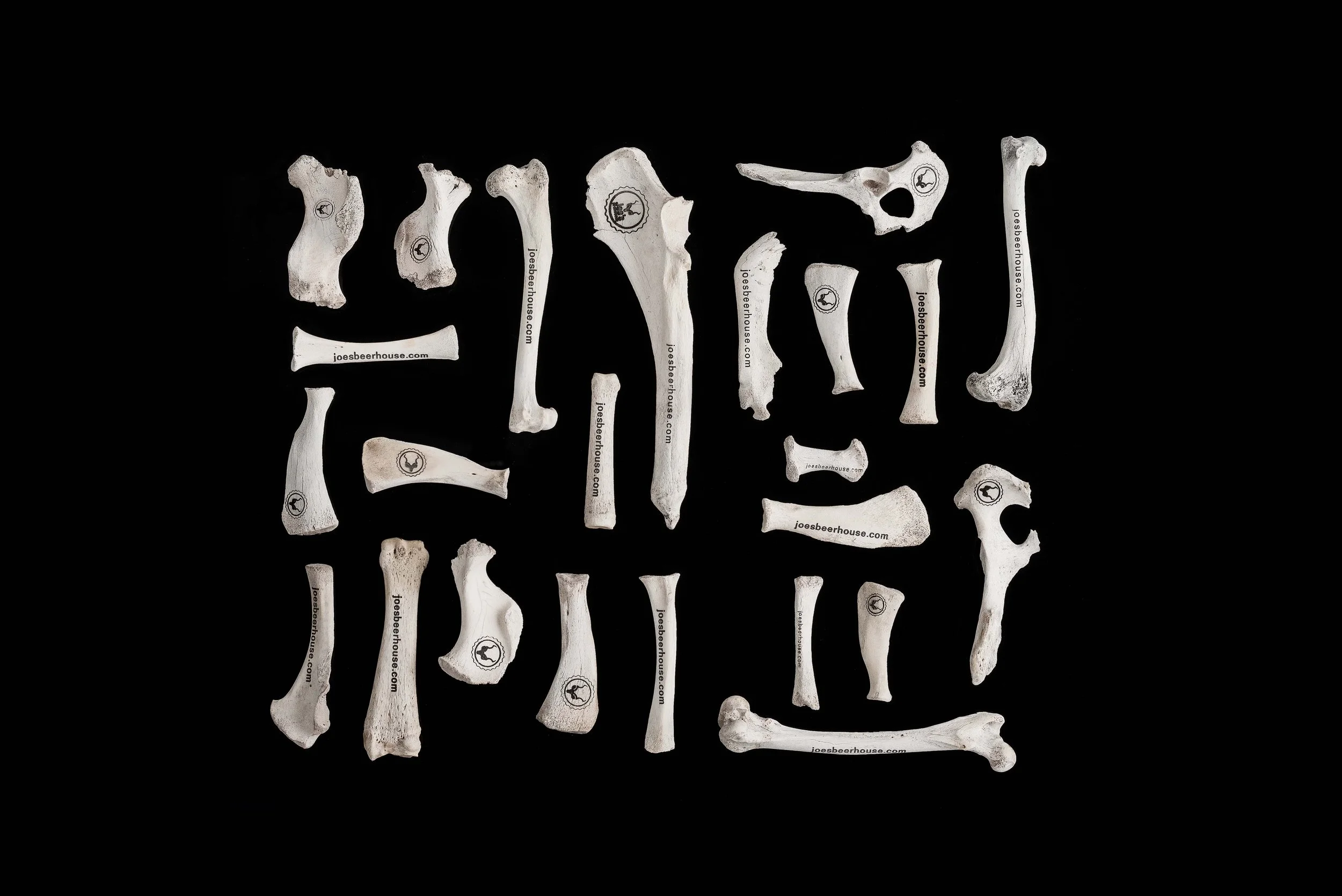 Joe's Bones