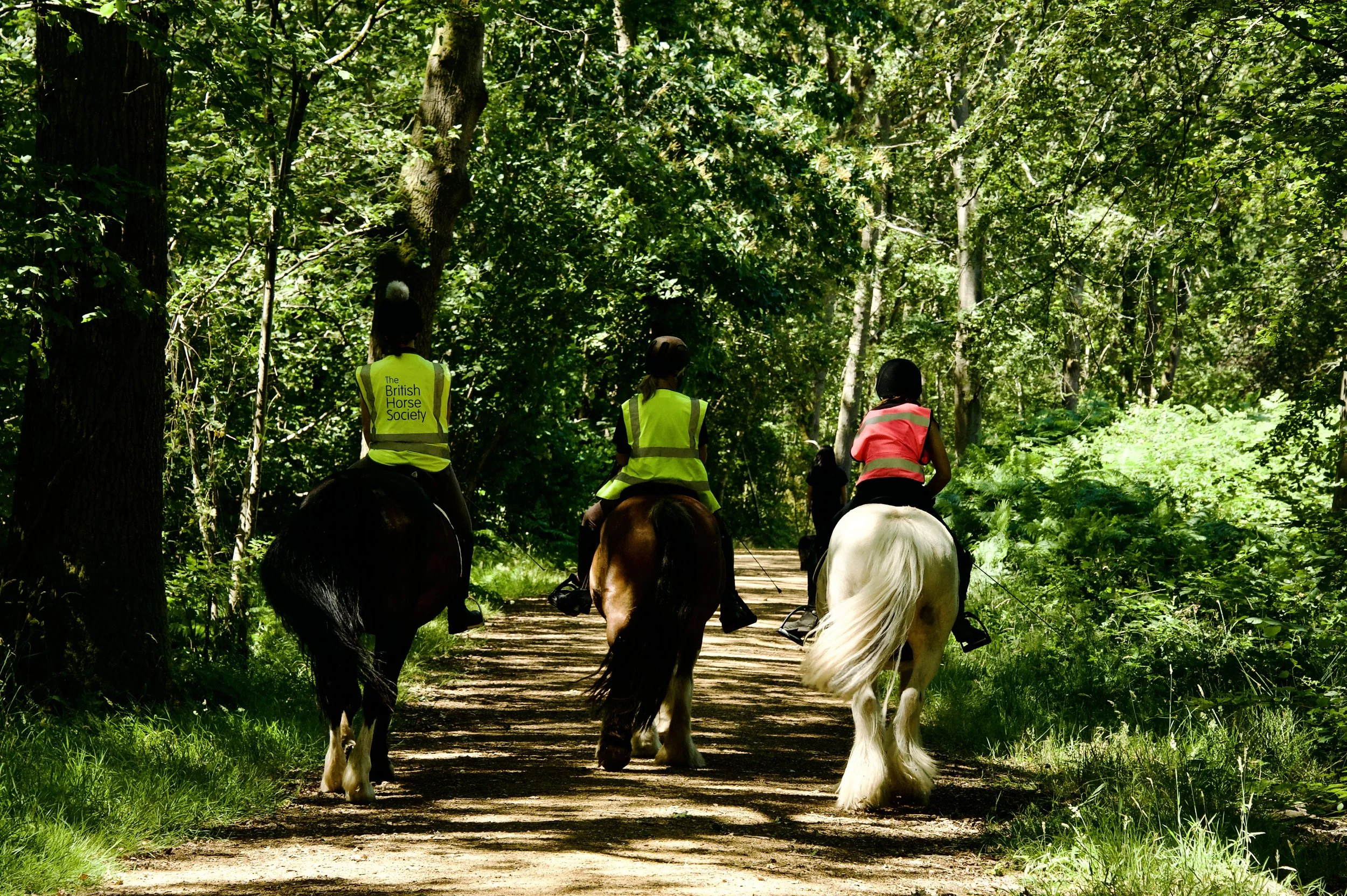 welborne autumn 2026 newsletter