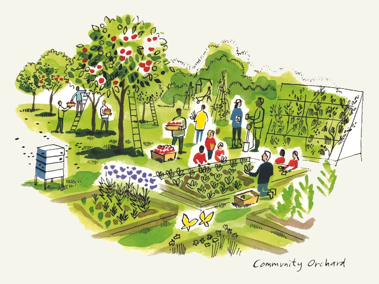 Colorful illustration of a community orchard with people harvesting apples, tending to vegetable beds, and relaxing among trees and gardens.