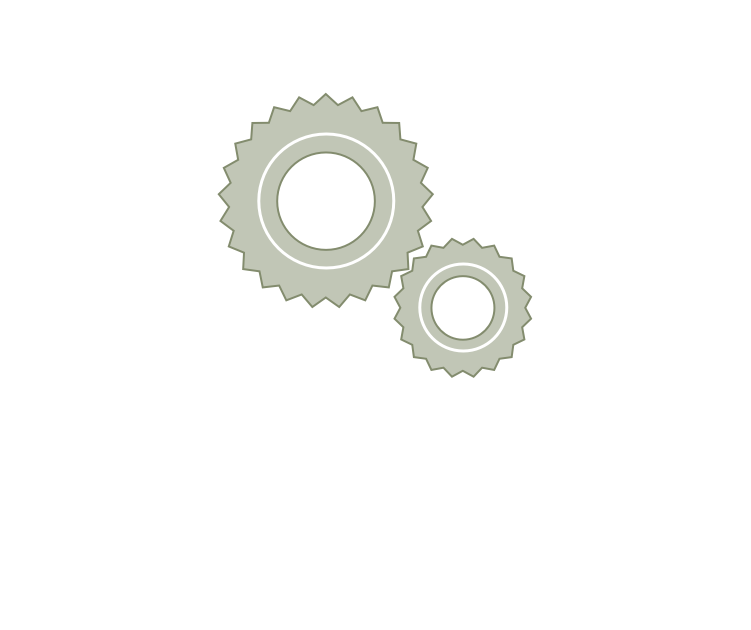 ExecutionSolution Selection, Implementation, Business Improvement