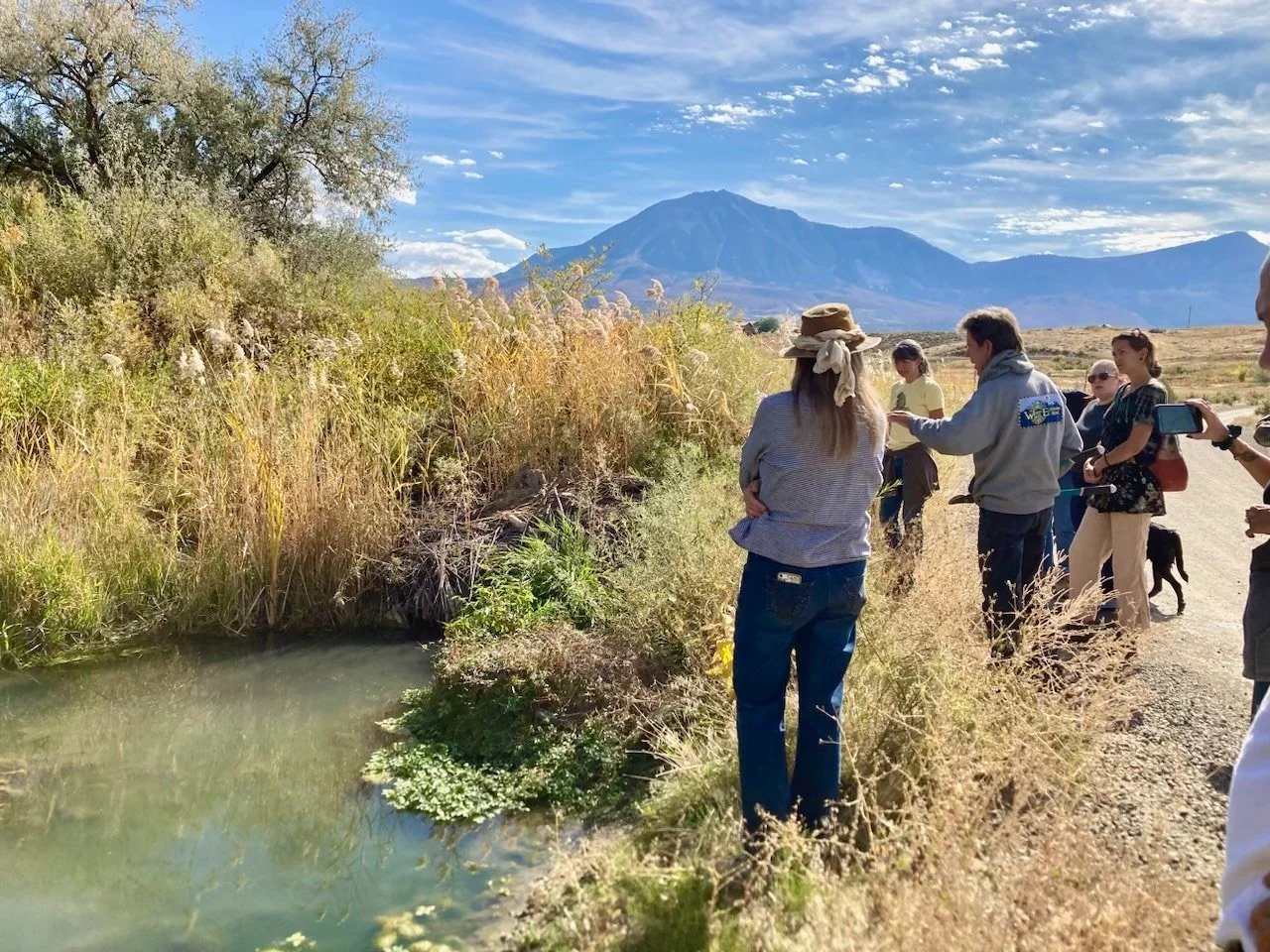 Fall Workshops: Regeneration in Action