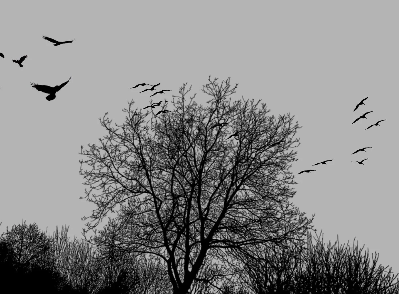 Come Together to Fall Apart 1