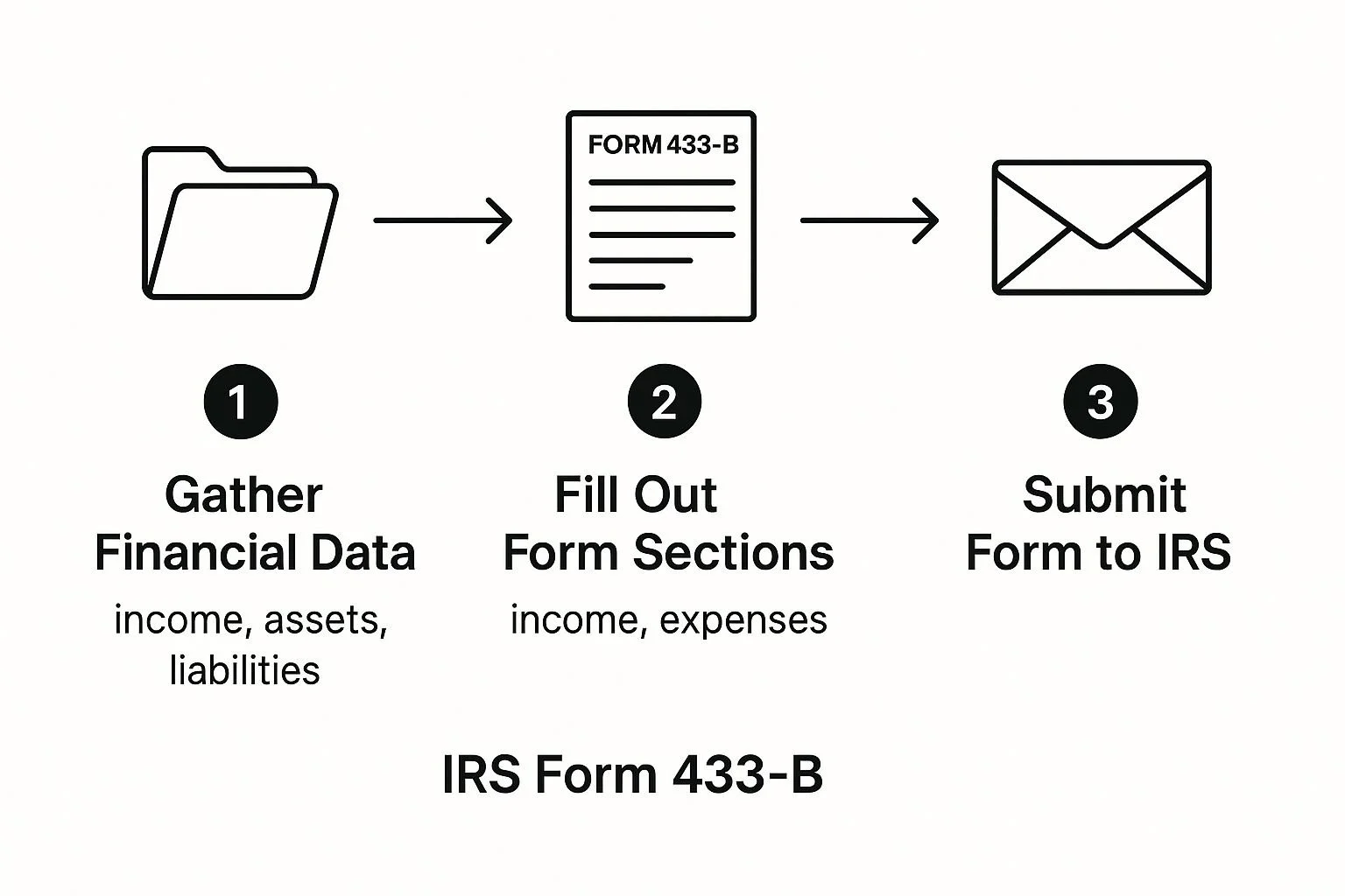 IRS Form 433 B