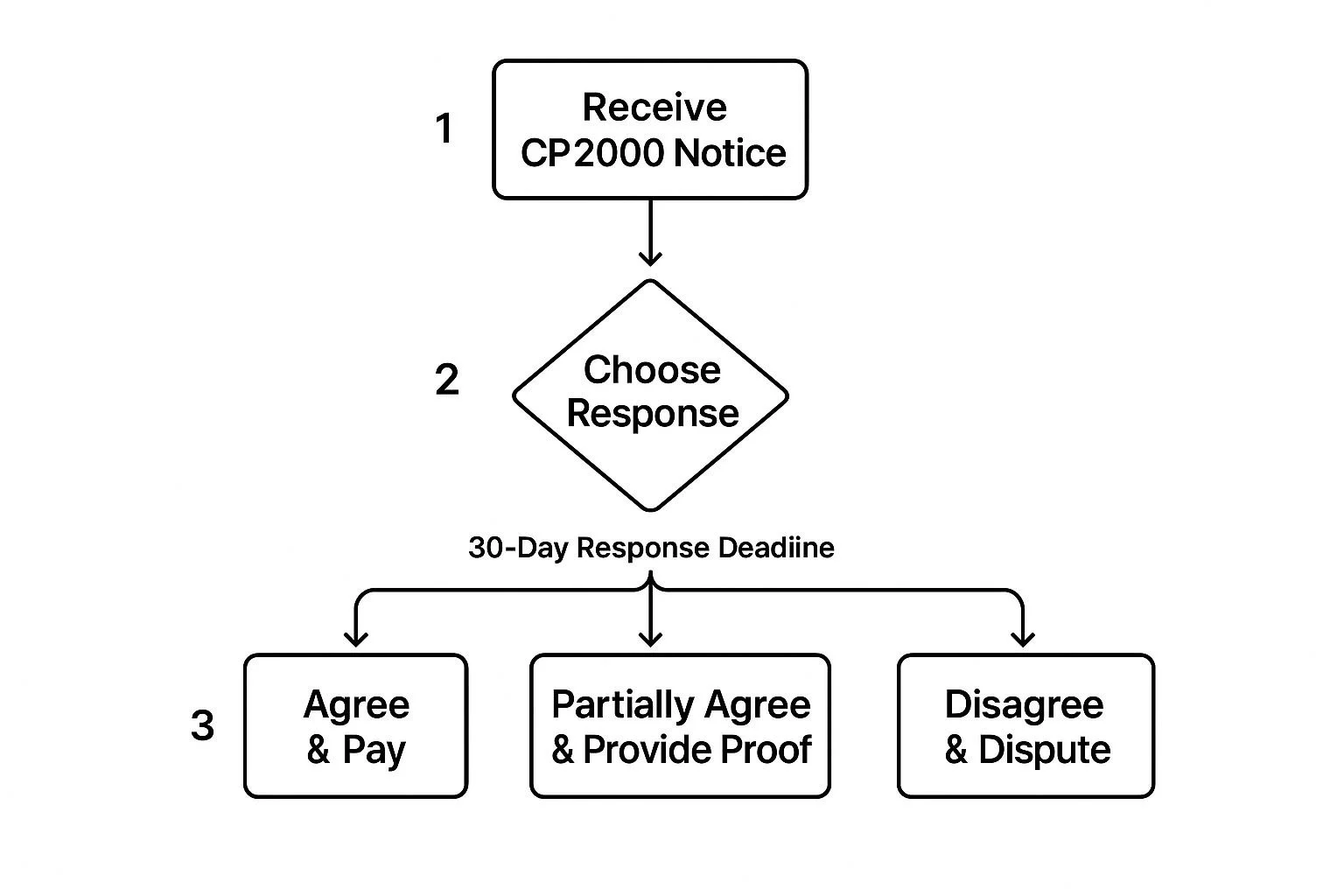 Step-by-Step Plan for Responding to the IRS