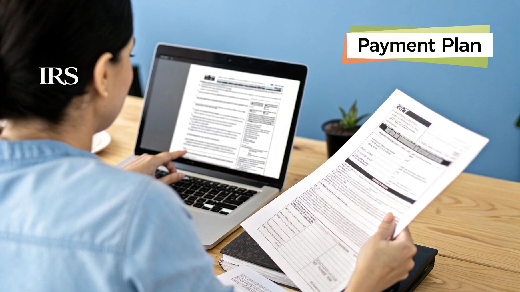 Payment Plan