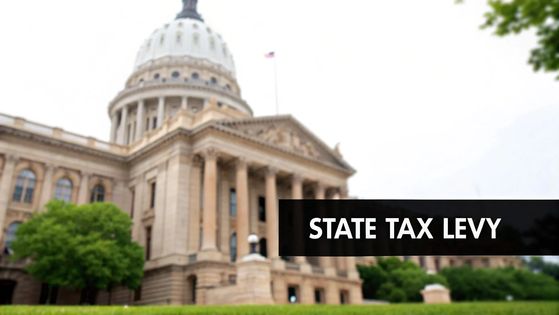 State Tax Levy