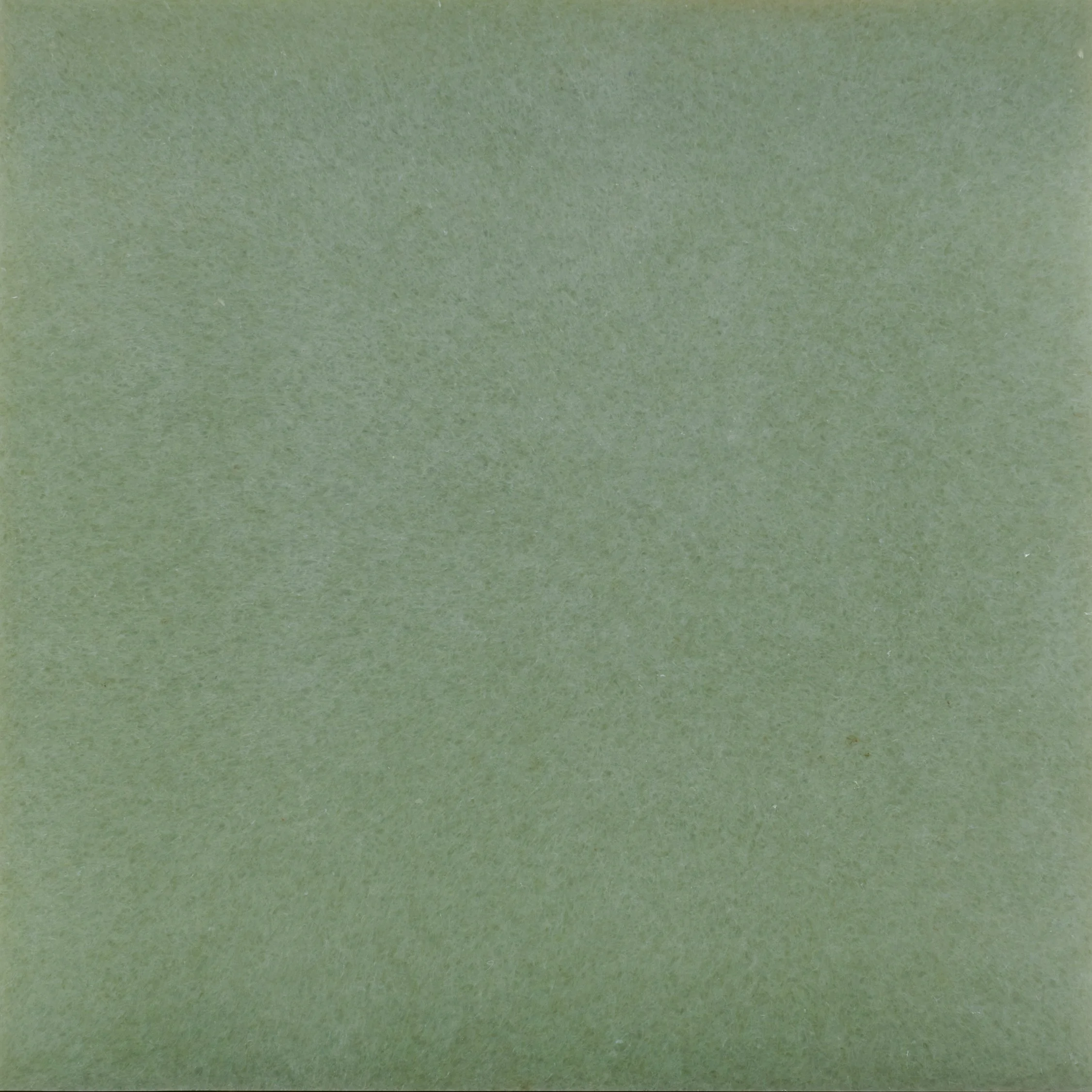 Solid light green textured background.