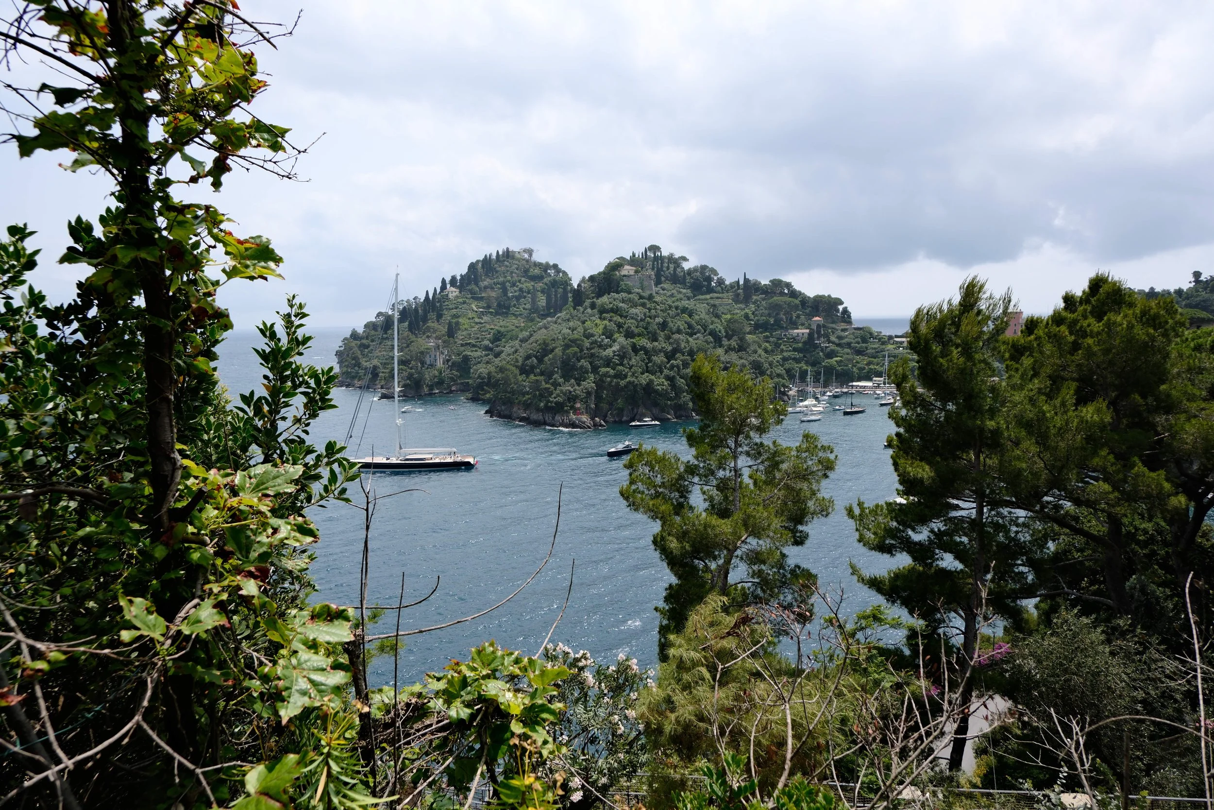 DSCF0289.jpg
