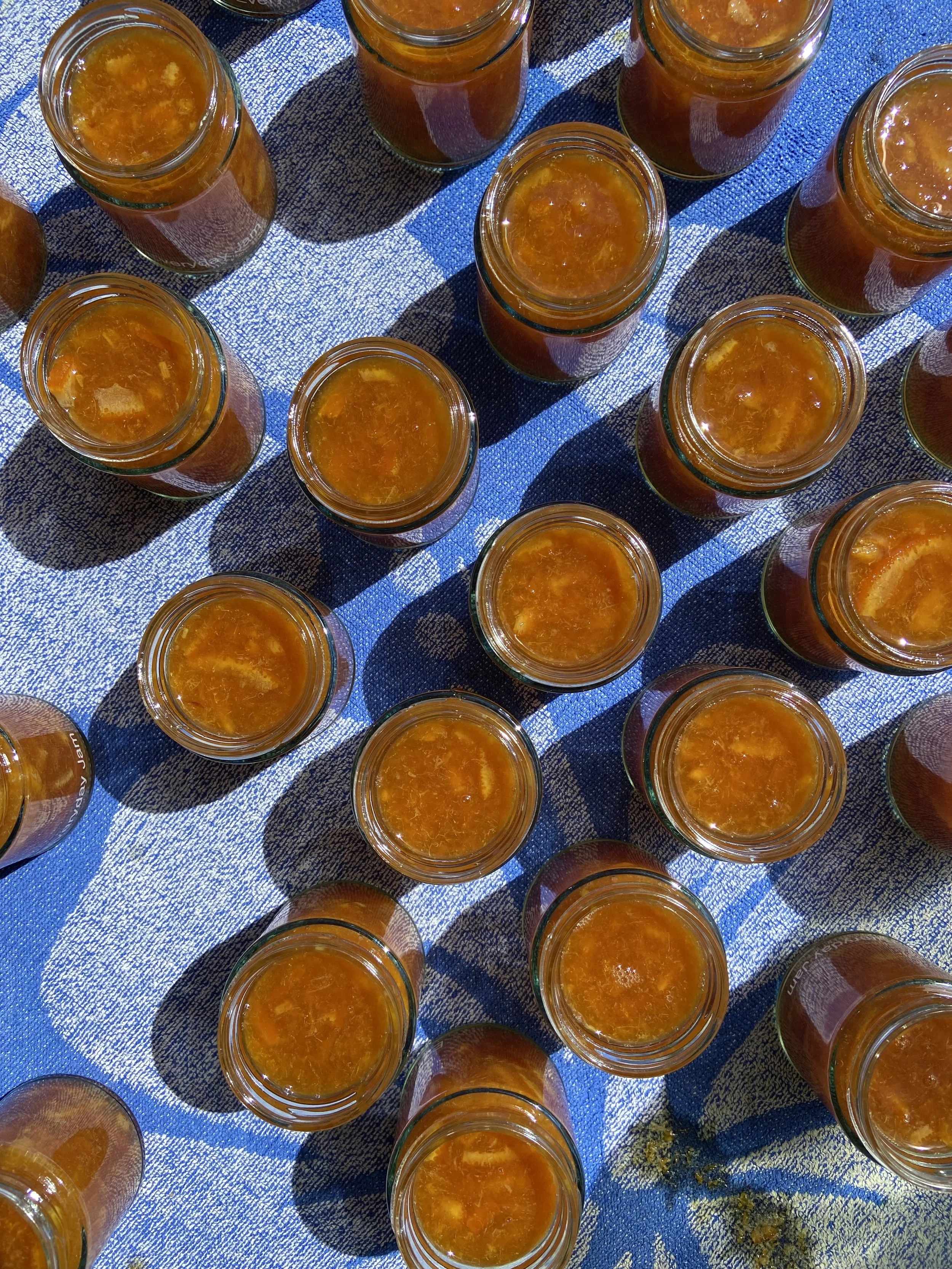 IMG_9966 - Georgia.jpeg