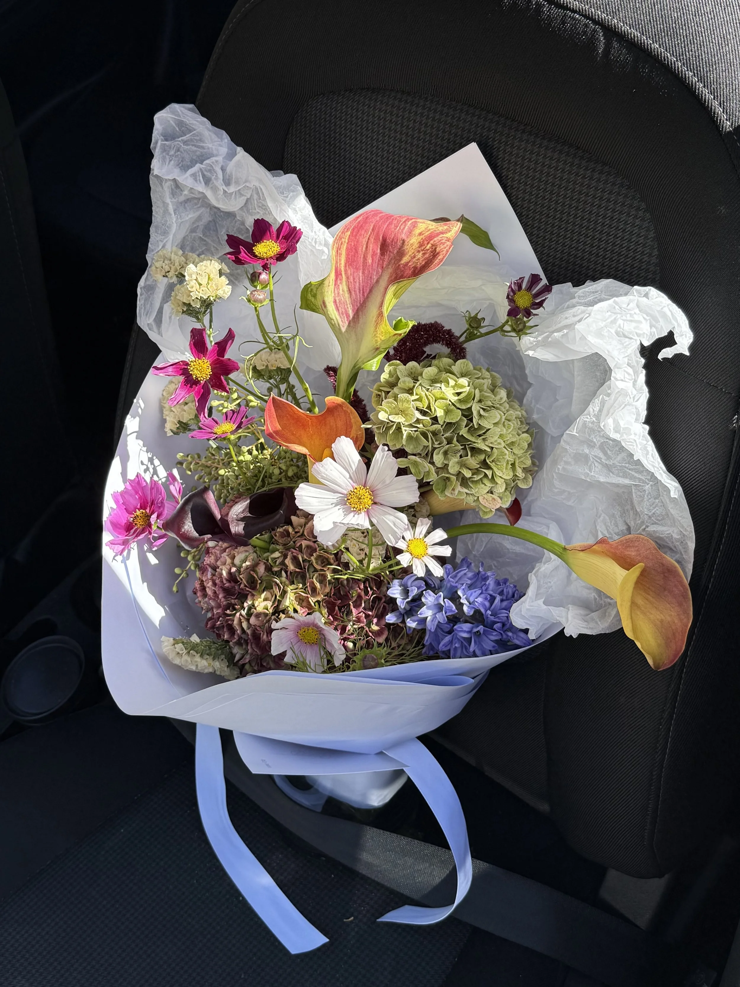 IMG_5347 - Samantha Hollyock.jpeg