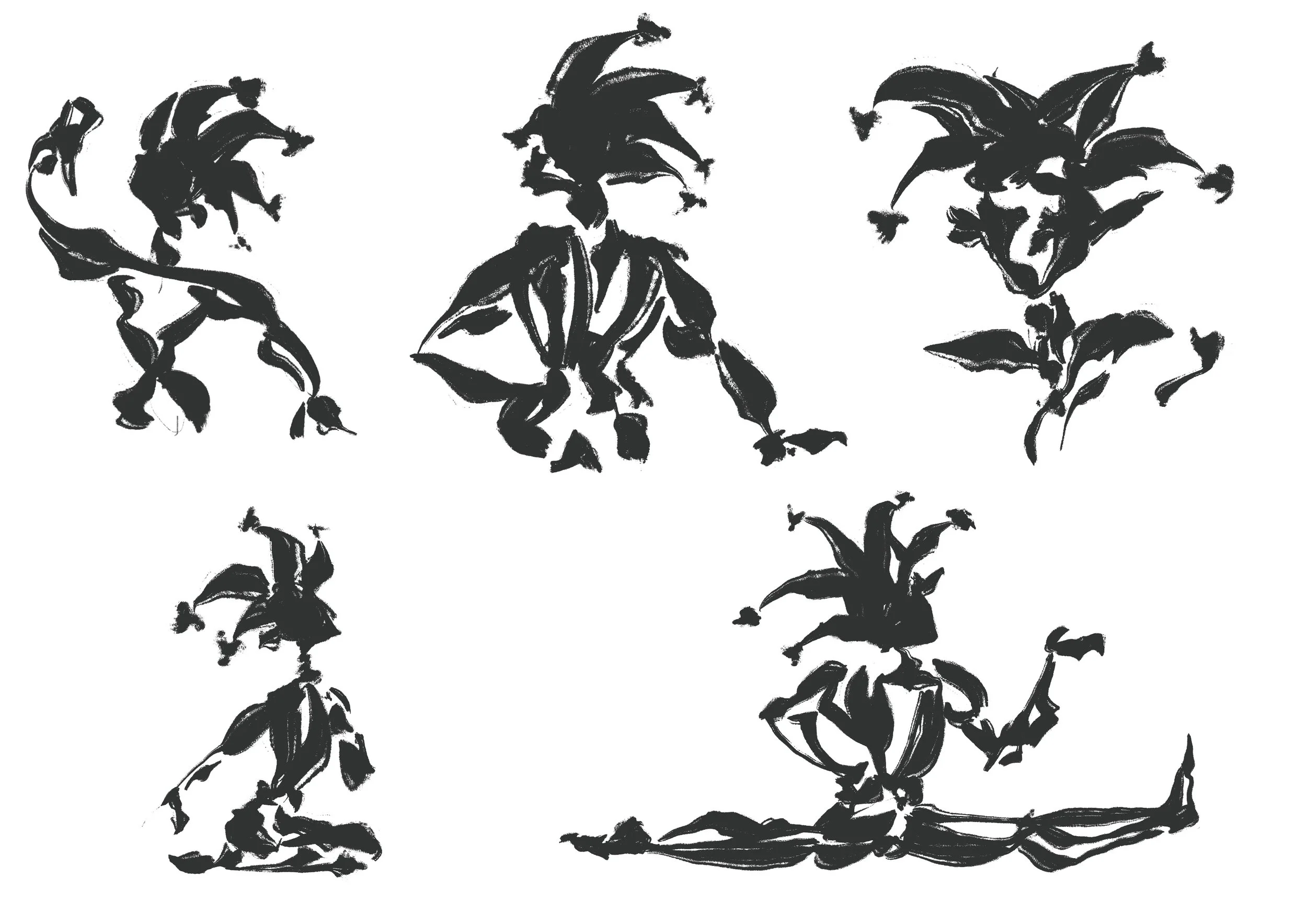 Schattenstudie Gaukler, 2/2.
Mai. 2025.