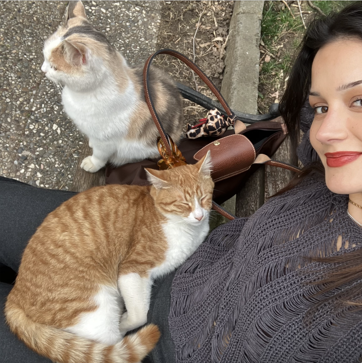 A woman with brown hair, wearing red lipstick and a dark gray knit sweater, is sitting on a park bench with two cats. One cat is orange and white, resting on her lap with eyes closed. The other is a calico, sitting on the bench beside her, looking to the side. A brown handbag with a leopard print scarf is on the bench.