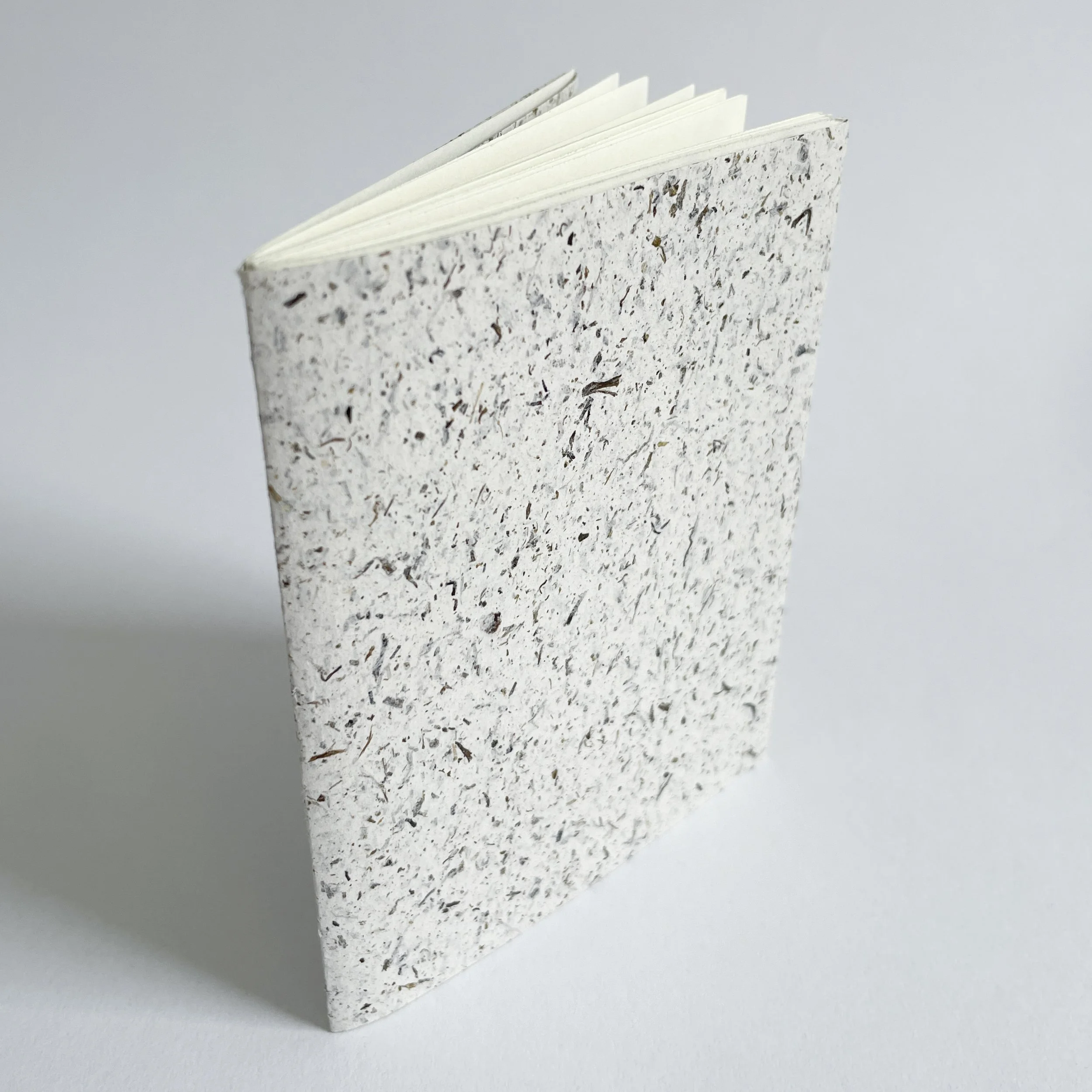 pamphlet 01.jpg