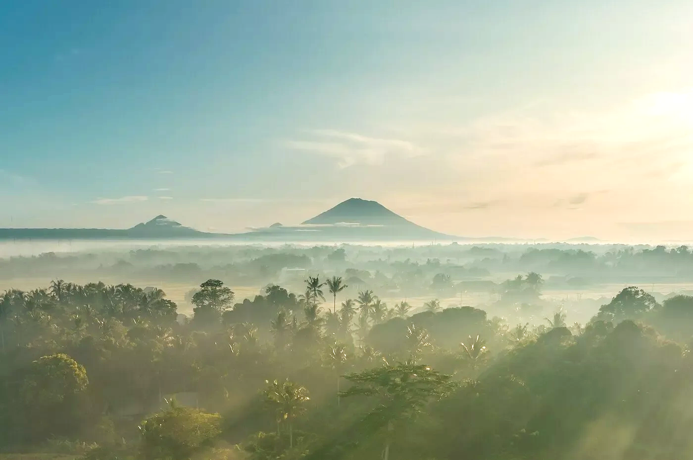 A lush tropical landscape with dense green foliage, trees, and distant mountains under a clear sky with some clouds, illuminated by soft sunlight.