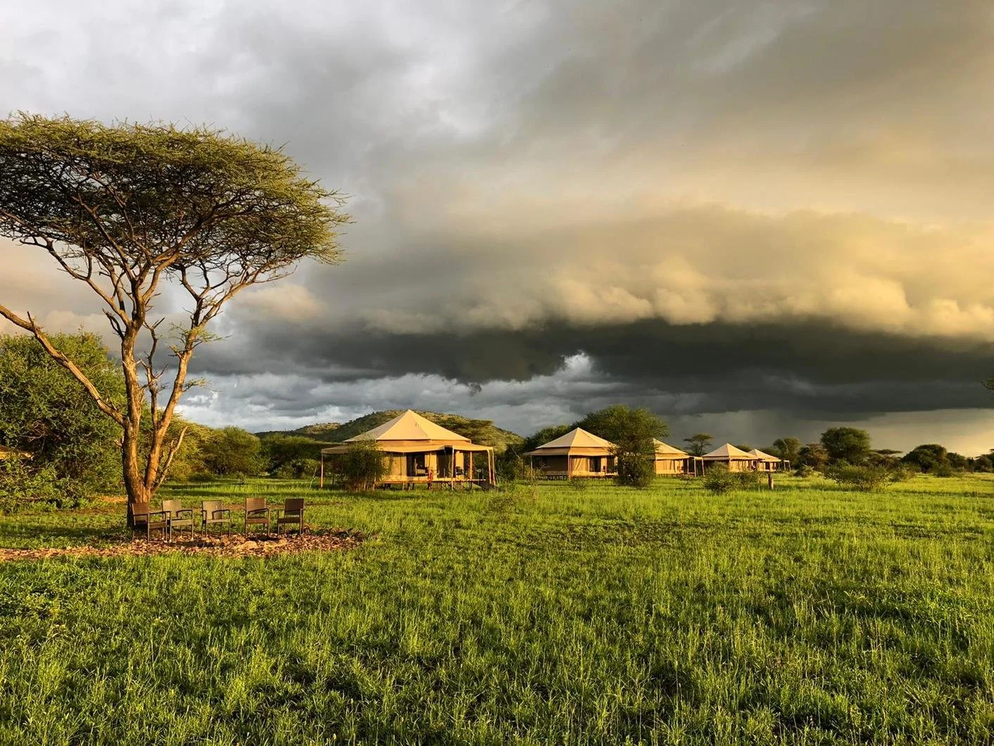 A scenic view of a grassy field with three tents, trees, and a cloudy sky at sunset.