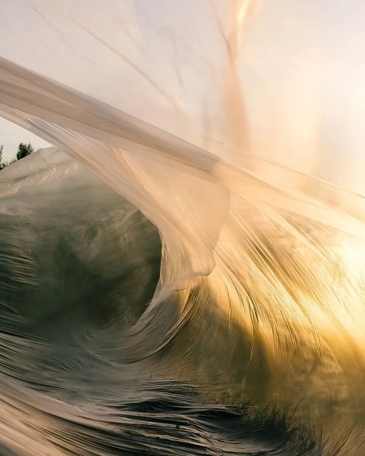 Inside view of a breaking wave with sunlight shining through, creating golden highlights and a tunnel-like appearance.