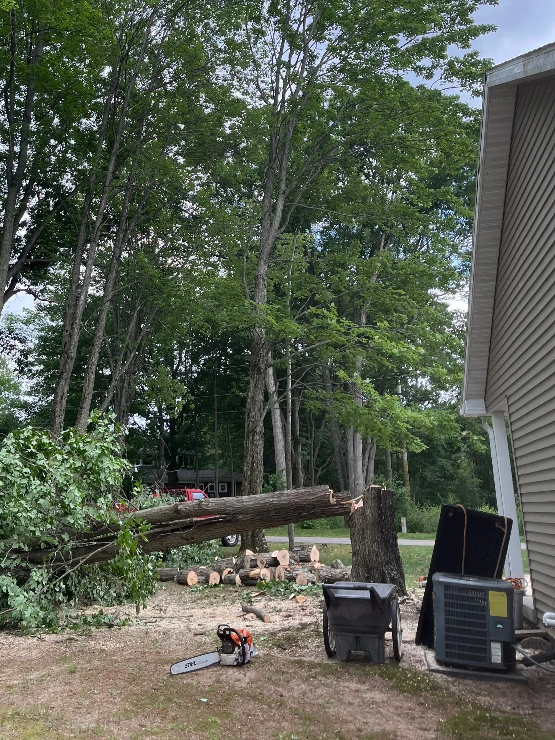 two stems felled away from the home