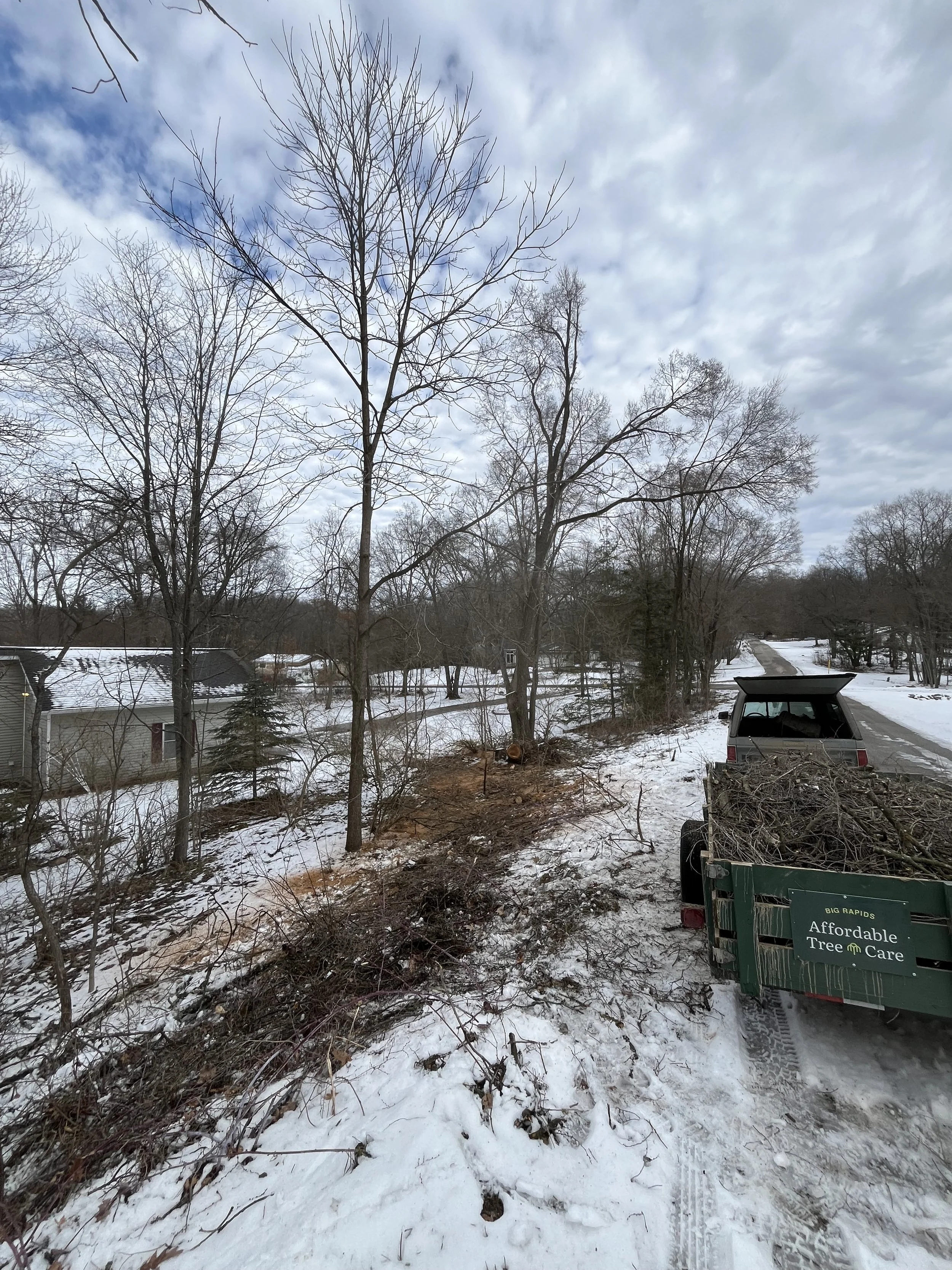 A full trailer of debris after a tree fell along the road.