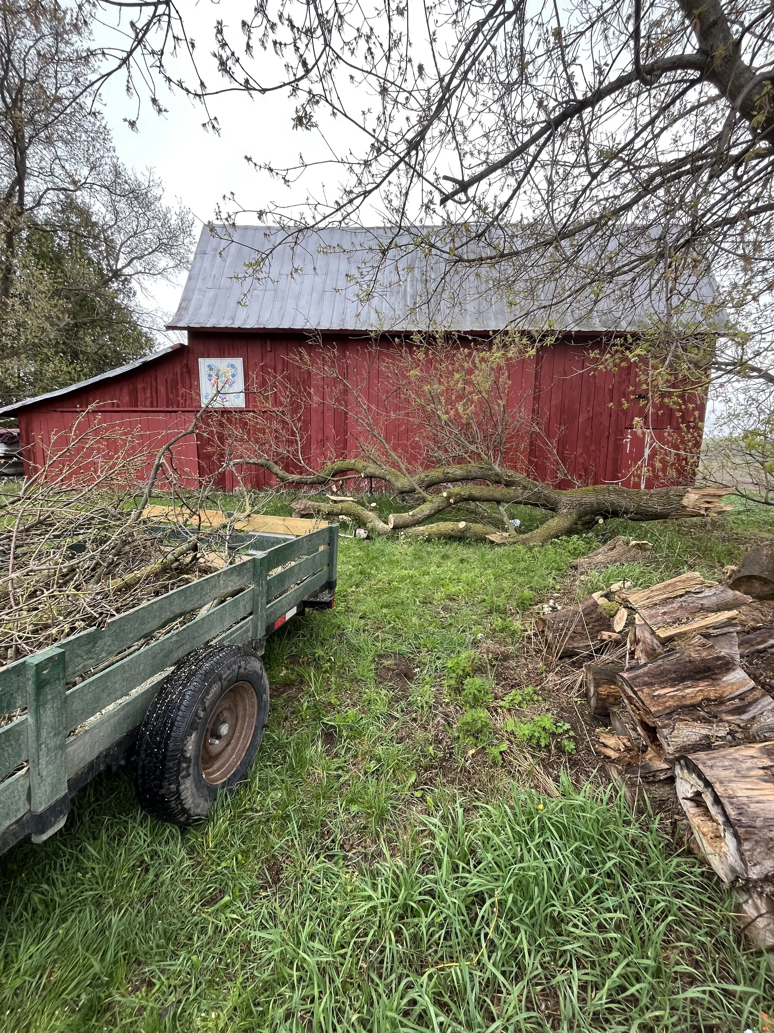 before photo of storm damage