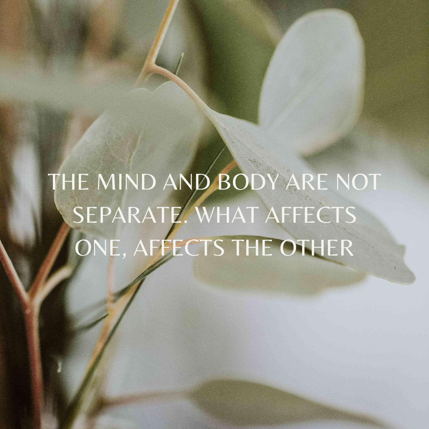 CC Reflexology Holistic Health