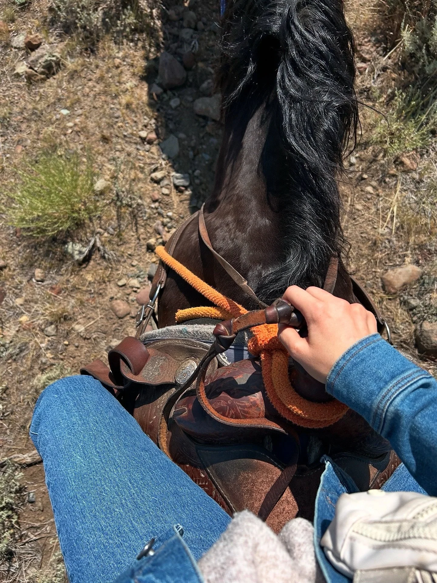 Days at the ranch 🐎🤠
.
.
#cowboy #ranch #ranchgirl #country #wyoming #wyominglife #codywyoming #wapitiwyoming 
Cow-boy, ranch, country, Summer, horseback riding, Miley stewart