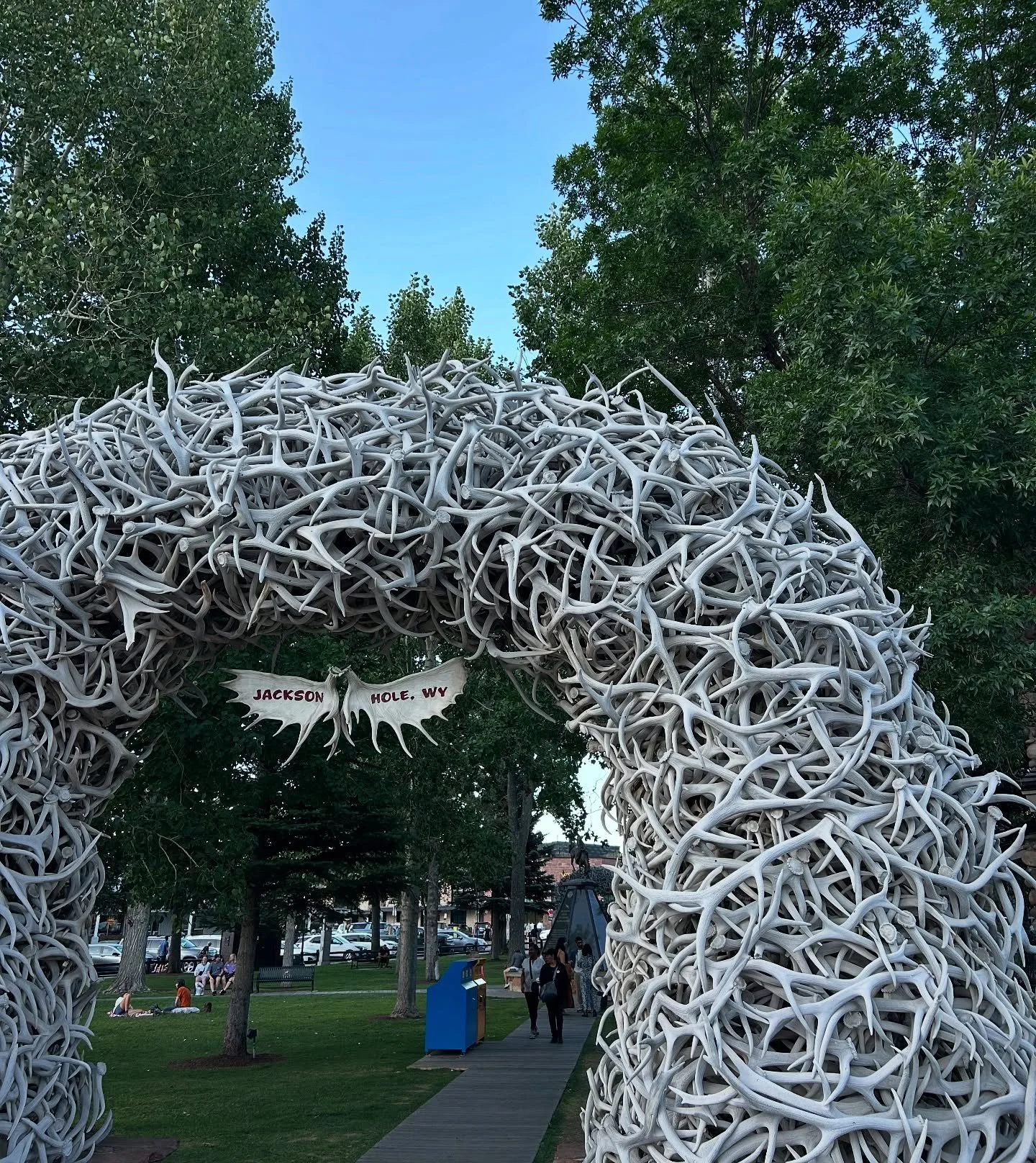 Huckleberries and Cowboy coffees 🐎
.
.
.
.
#jacksonhole #jacksonholewyoming #jacksonholewy #cowboyboots #cowboycountry #countrysummer #midwestsummer #rockymountain #wyoming #wyominglife