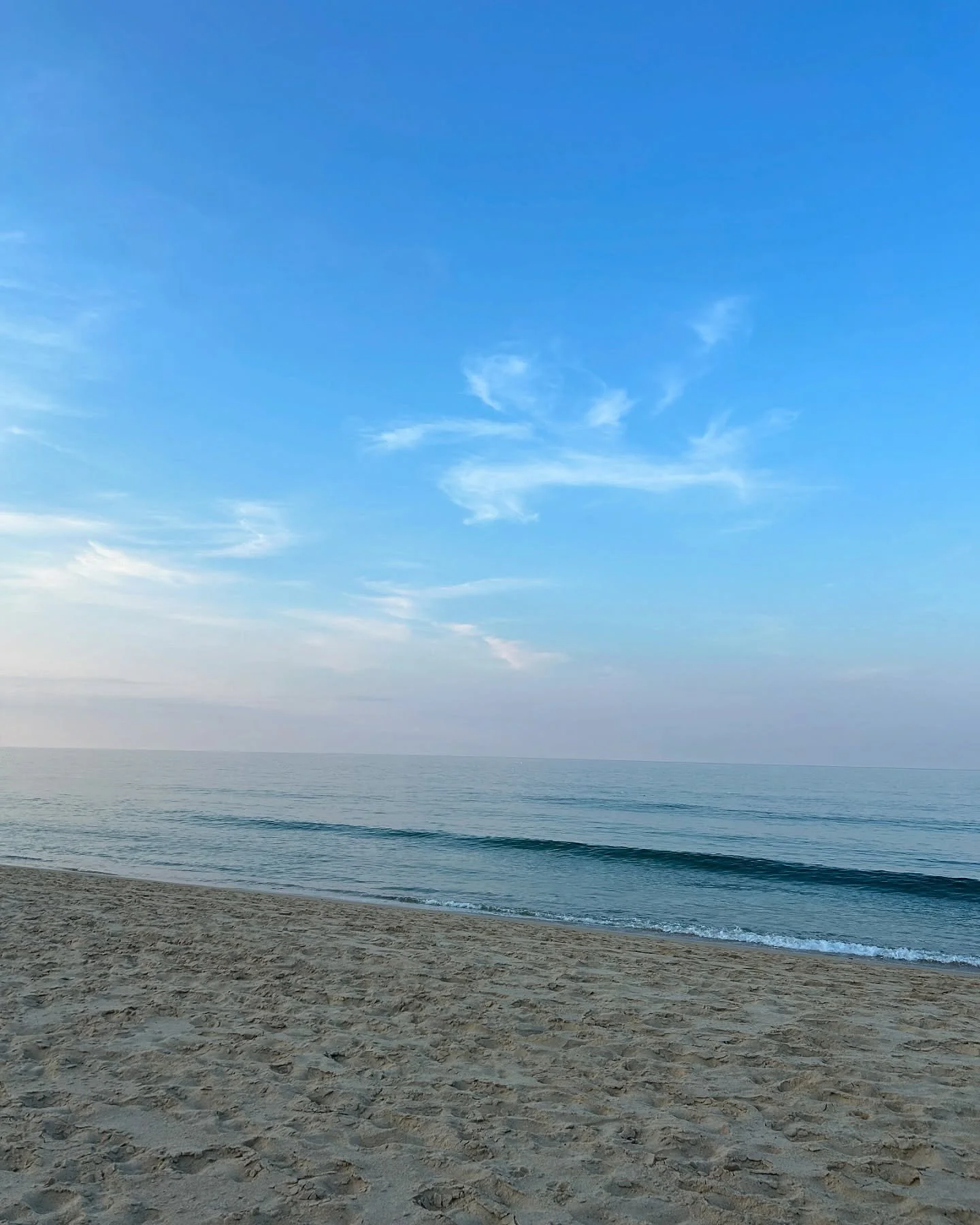 My mind is still on Cape Cod 🩵🐋
.
.
#capecod #capecodlife #beachlife #beach #summervibes