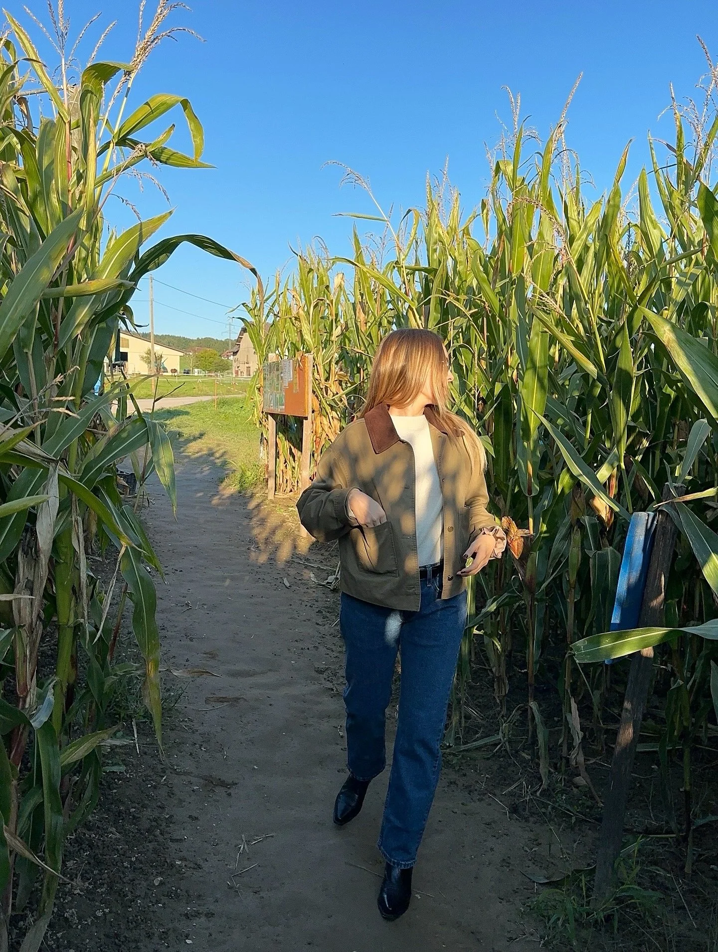 Last bits of September 🚜🍎🌾🐞🌽
.
.
#cornmaze #cornmaze🌽 #countryside #earlyfall #september #pumpkin #pumpkinpatch