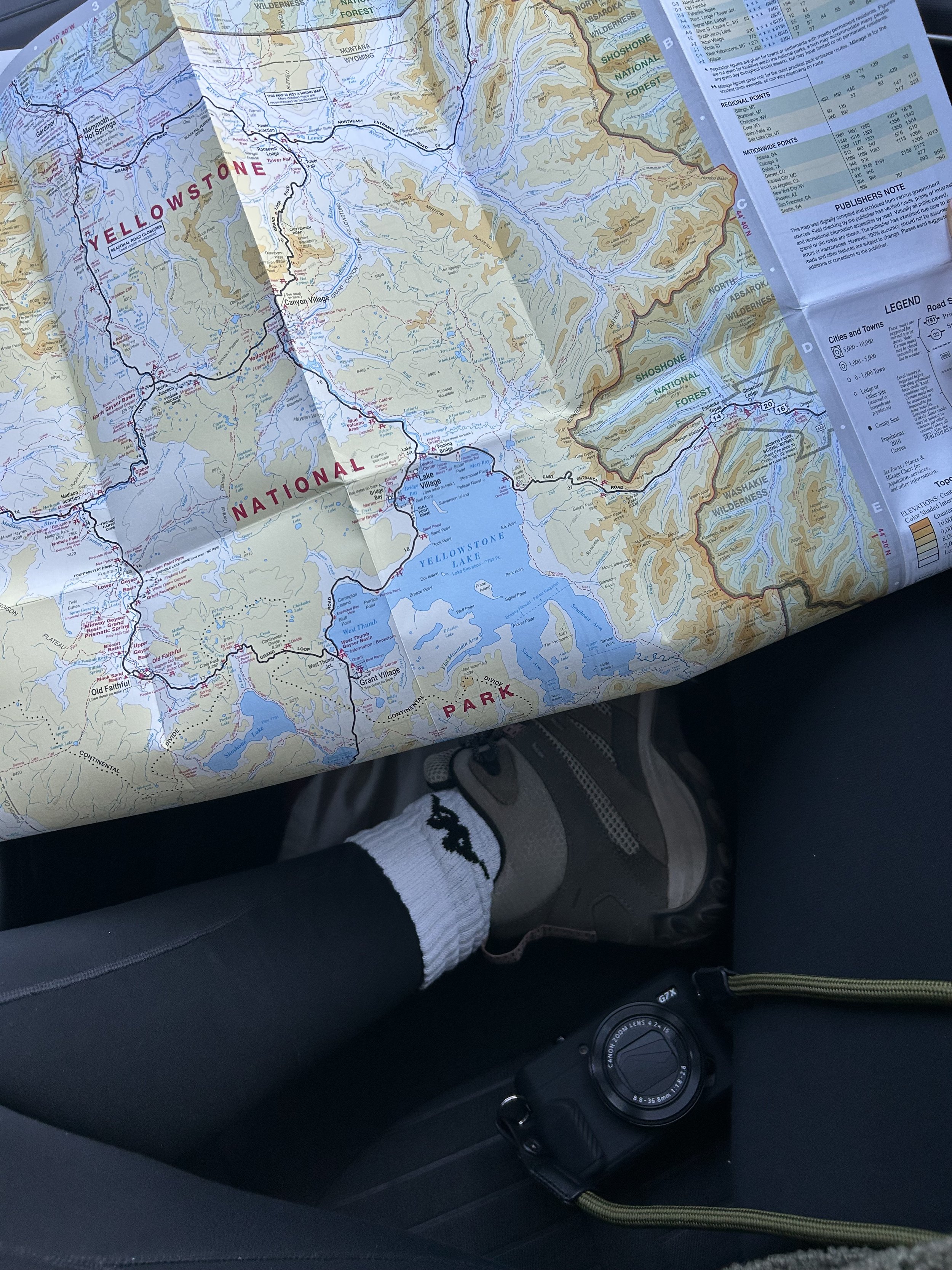 Yellowstone, Cody &amp; Wapiti 🏇🏻