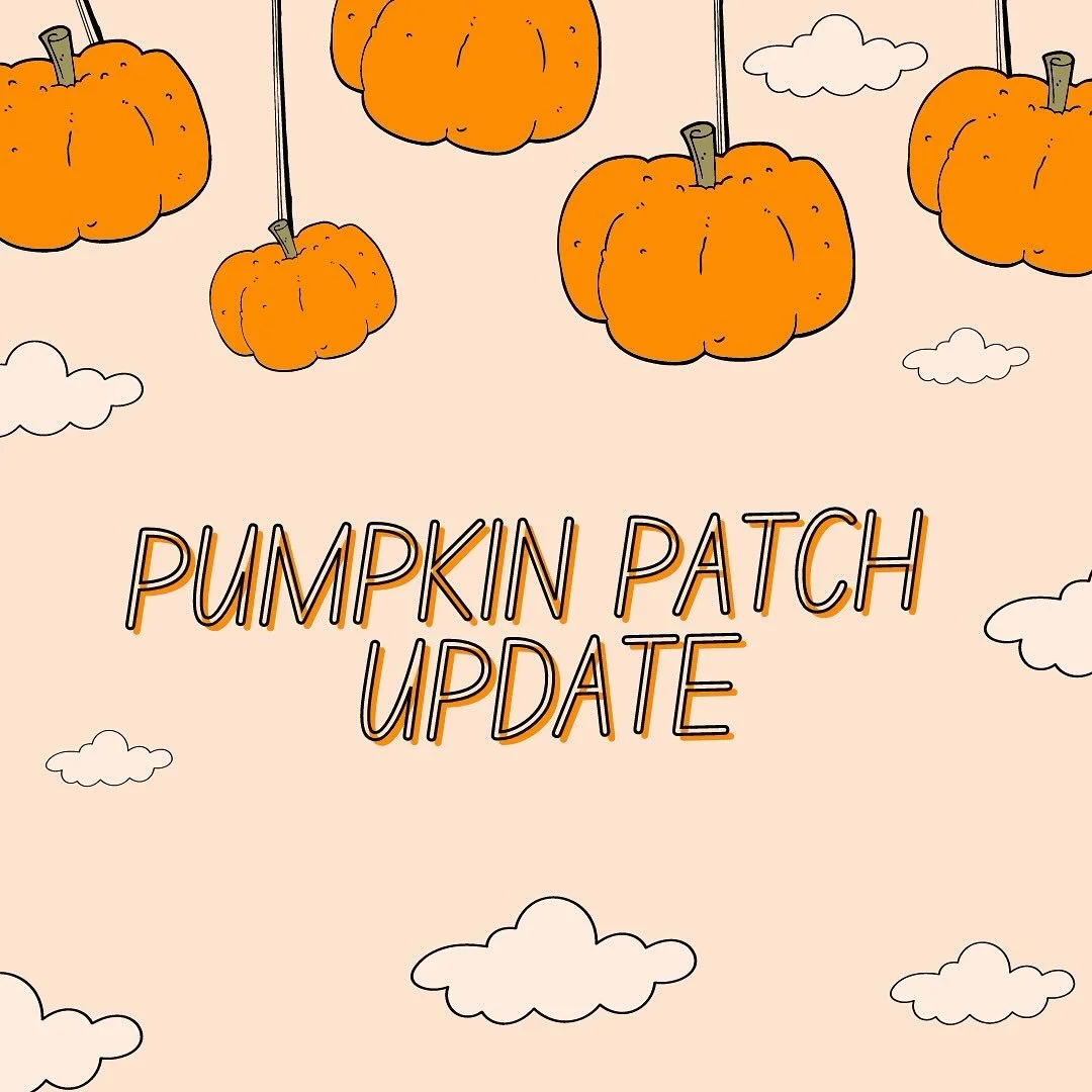 It is with heavy hearts that we announce that we will not be able to open the pumpkin patch this year. 

Due to extreme wet weather early in the growing season our pumpkins have be unable to grow with others very far behind. 

We are deeply saddened 