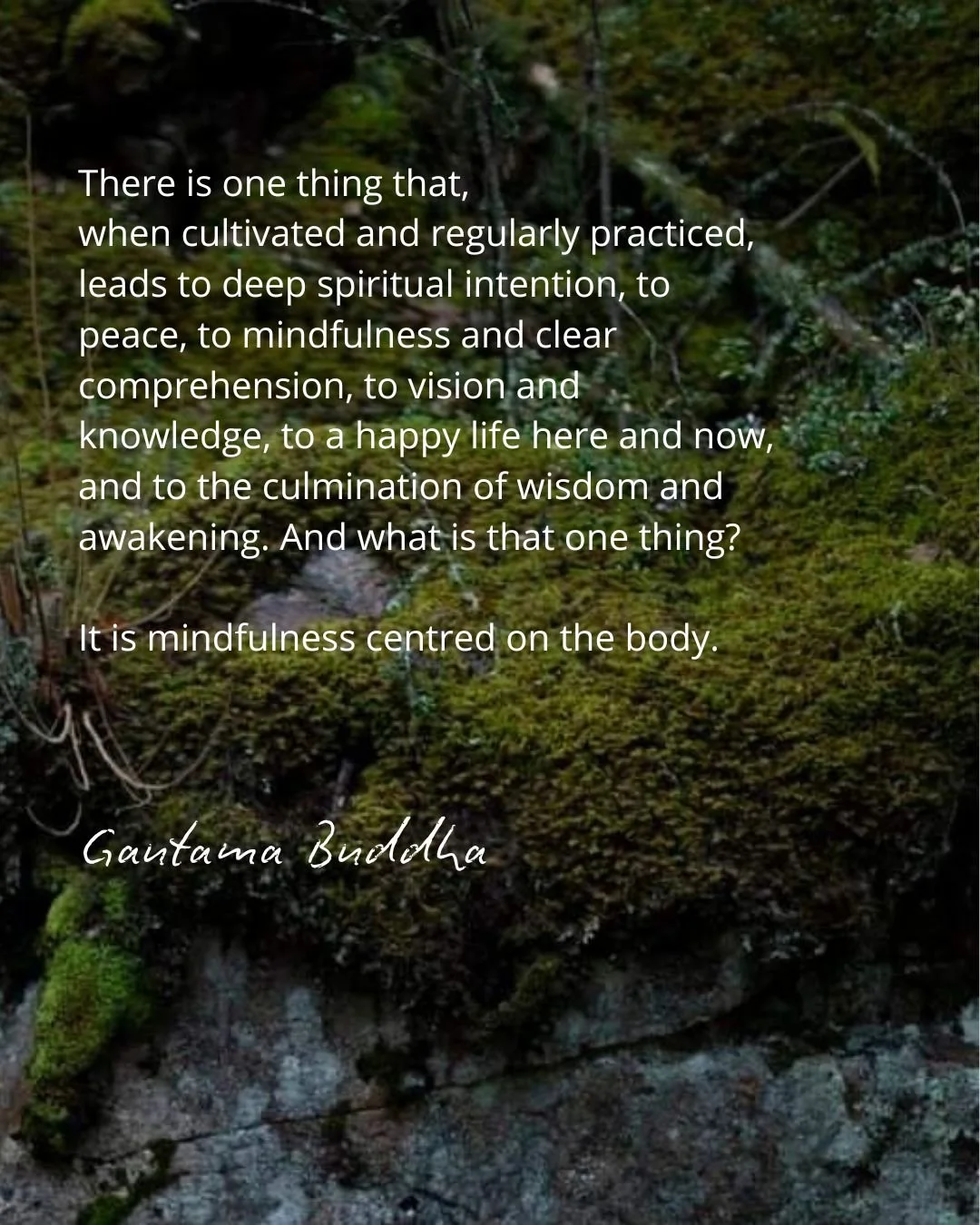 There is one thing that, when cultivated and regularly practiced, leads to deep spiritual intention, to peace, to mindfulness and clear comprehension, to vision and knowledge, to a happy life here and now, and to the culmination of wisdom and awakeni