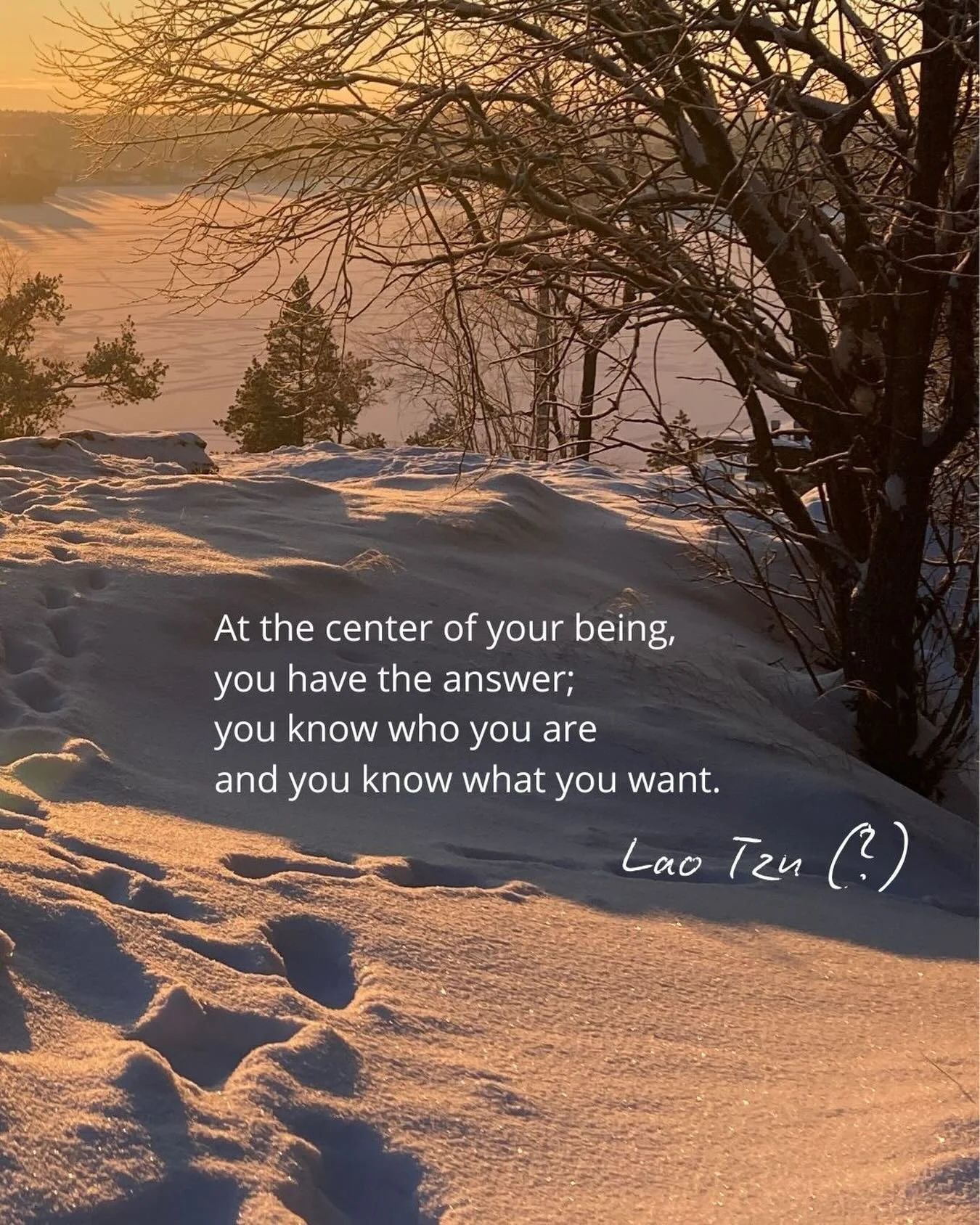 At the center of your being,
you have the answer;
you know who you are
and you know what you want.

T&auml;m&auml;n sitaatin ajatellaan tulevan Lao Tzulta, vaikka siit&auml; on my&ouml;s ep&auml;selvyytt&auml;.

Joka tapauksessa, sen viesti resonoi m