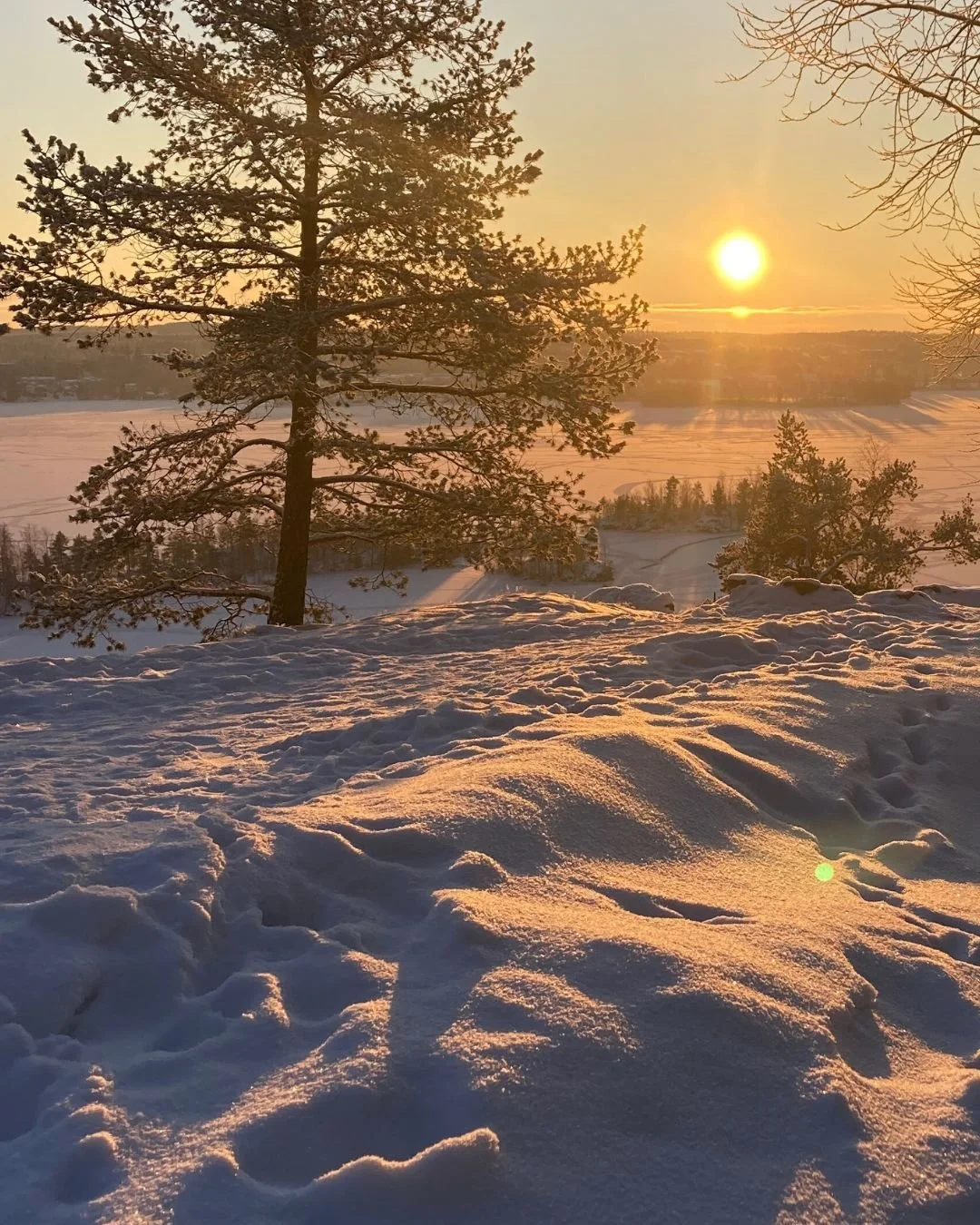 Laskeudu liikkeeseen,
palaudu itseesi,
tunne kokonaisuutesi

Kev&auml;ttalvella ja kev&auml;&auml;ll&auml; viel&auml; kaksi edullista Feldenkrais-menetelm&auml;n viikonloppukurssia sek&auml; yksi lauantaikurssi:

Vapautta niskalle, hartioille ja leuo
