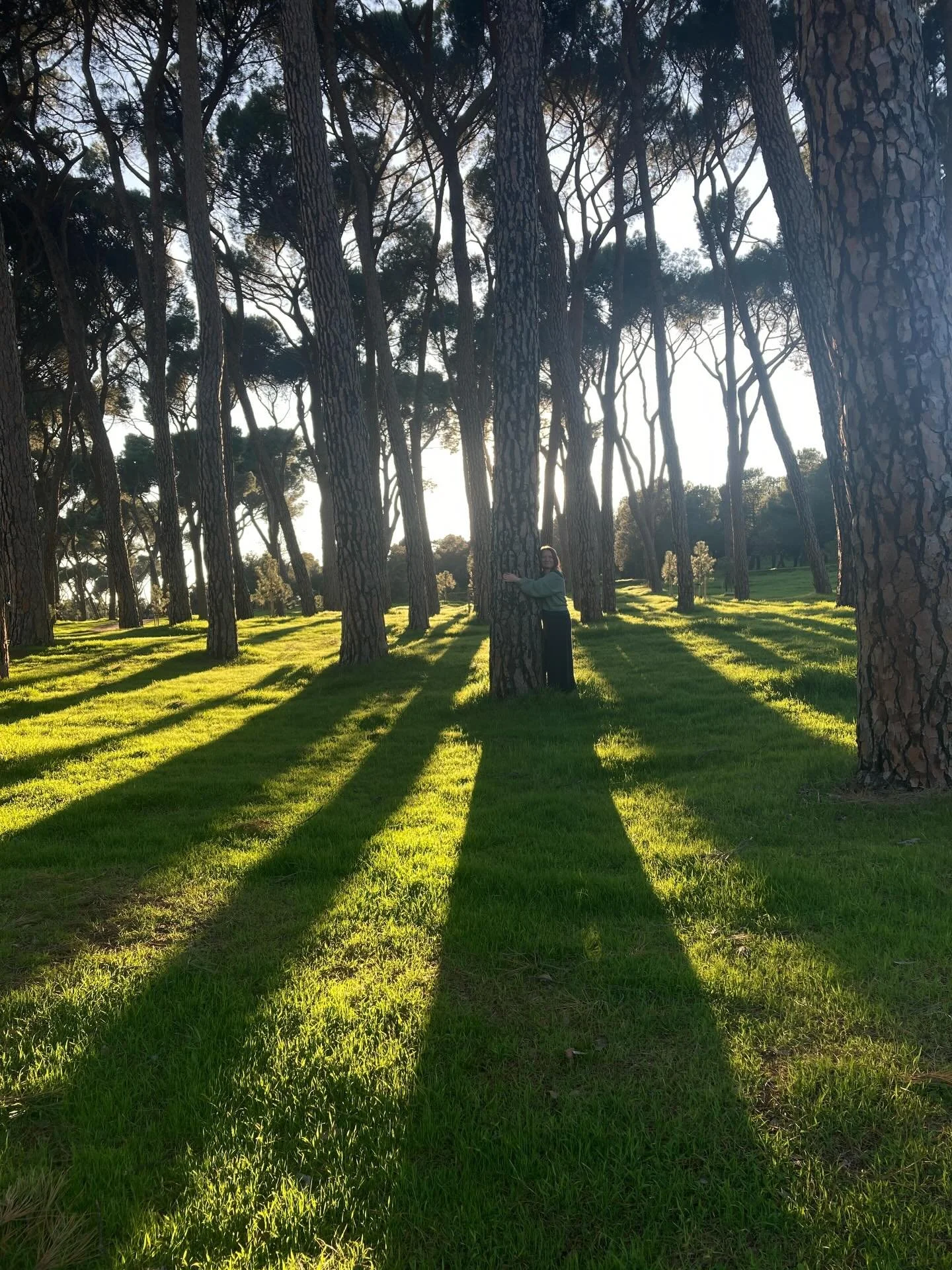 Yst&auml;vi&auml;, yhdess&auml; oppimista, kev&auml;tt&auml;, kuulumisen tunnetta 🌿

Kiitos Madrid ☀️