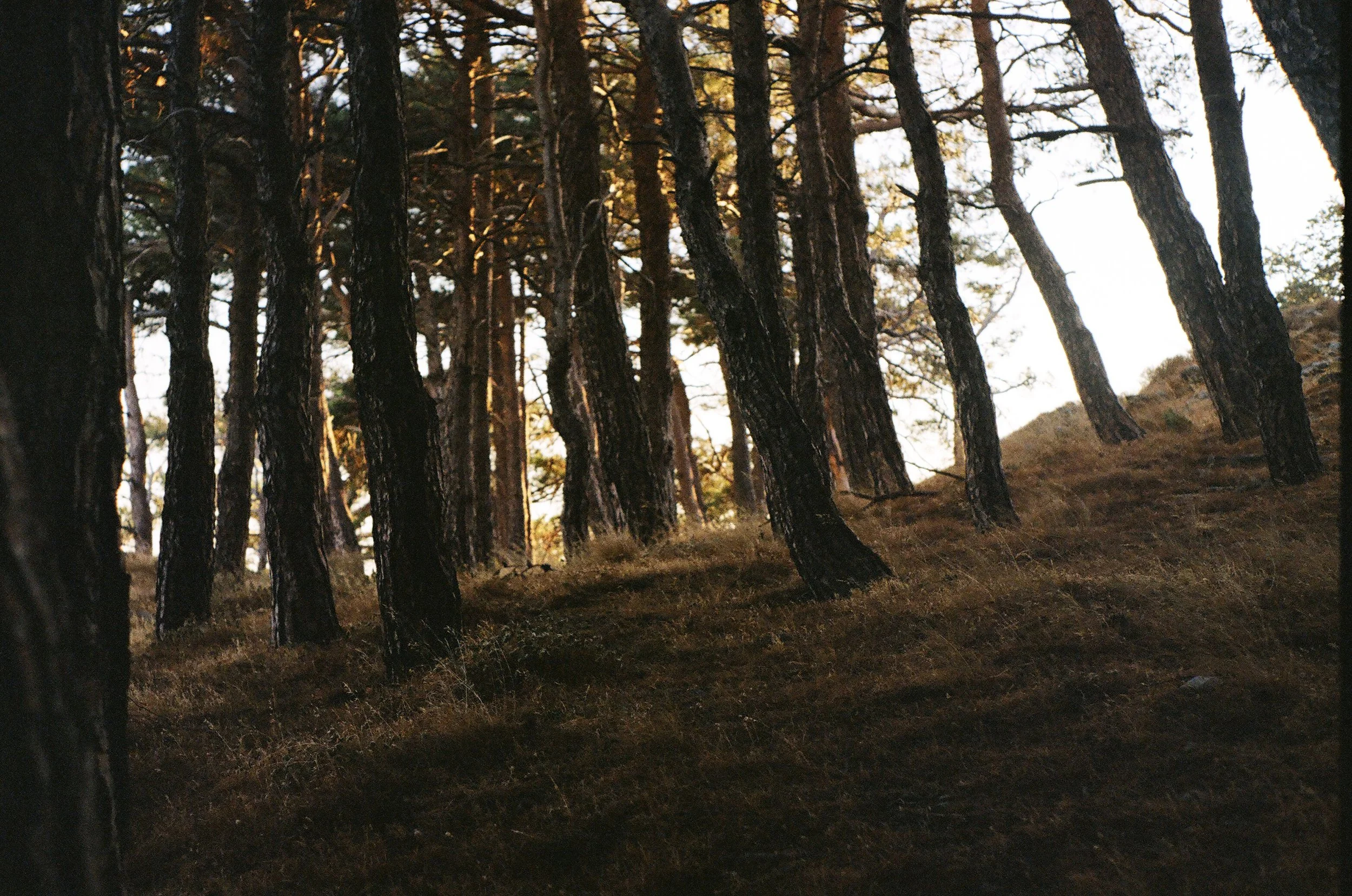 5585 - 28.JPG