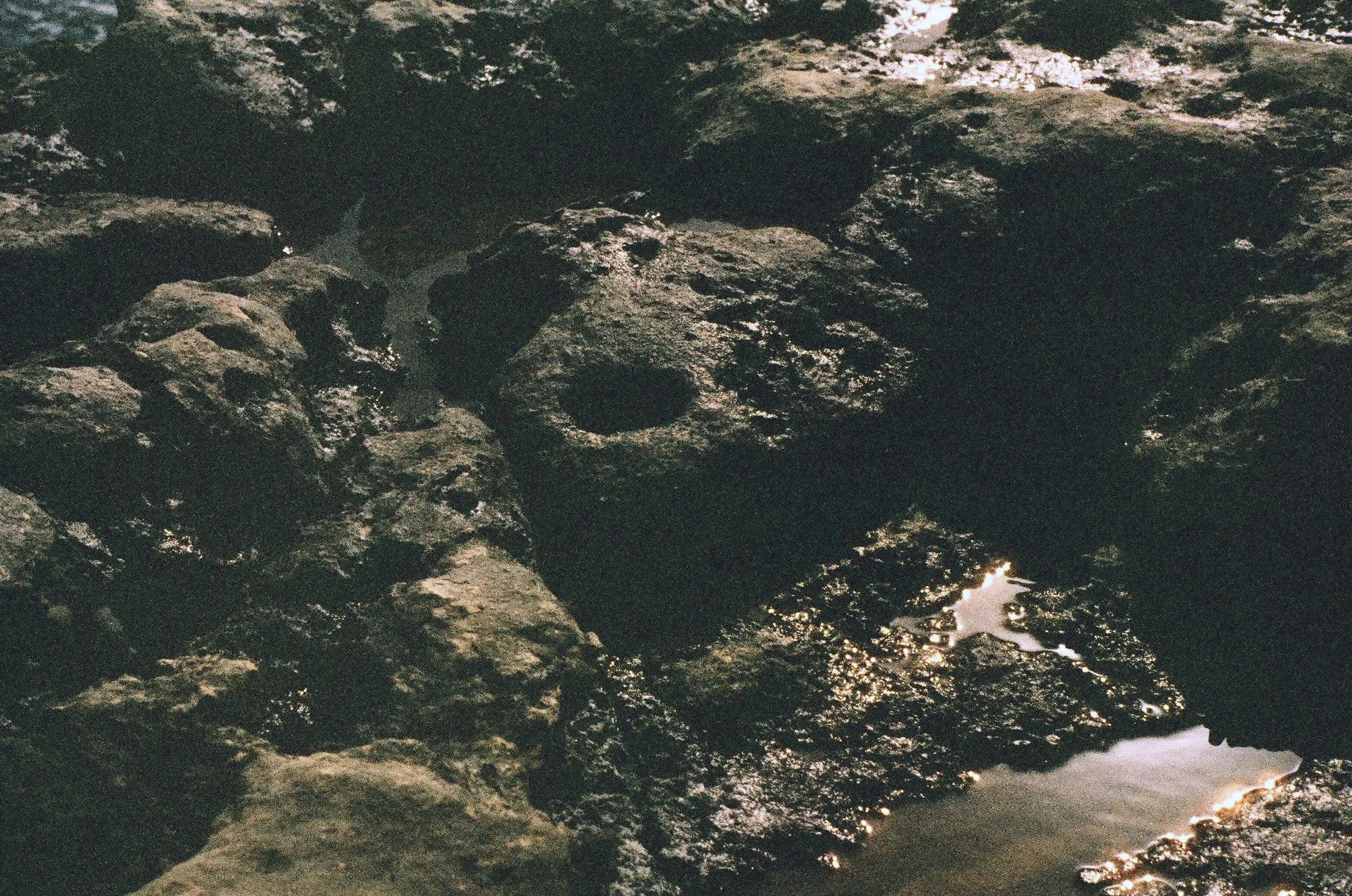 7110 - 20.JPG