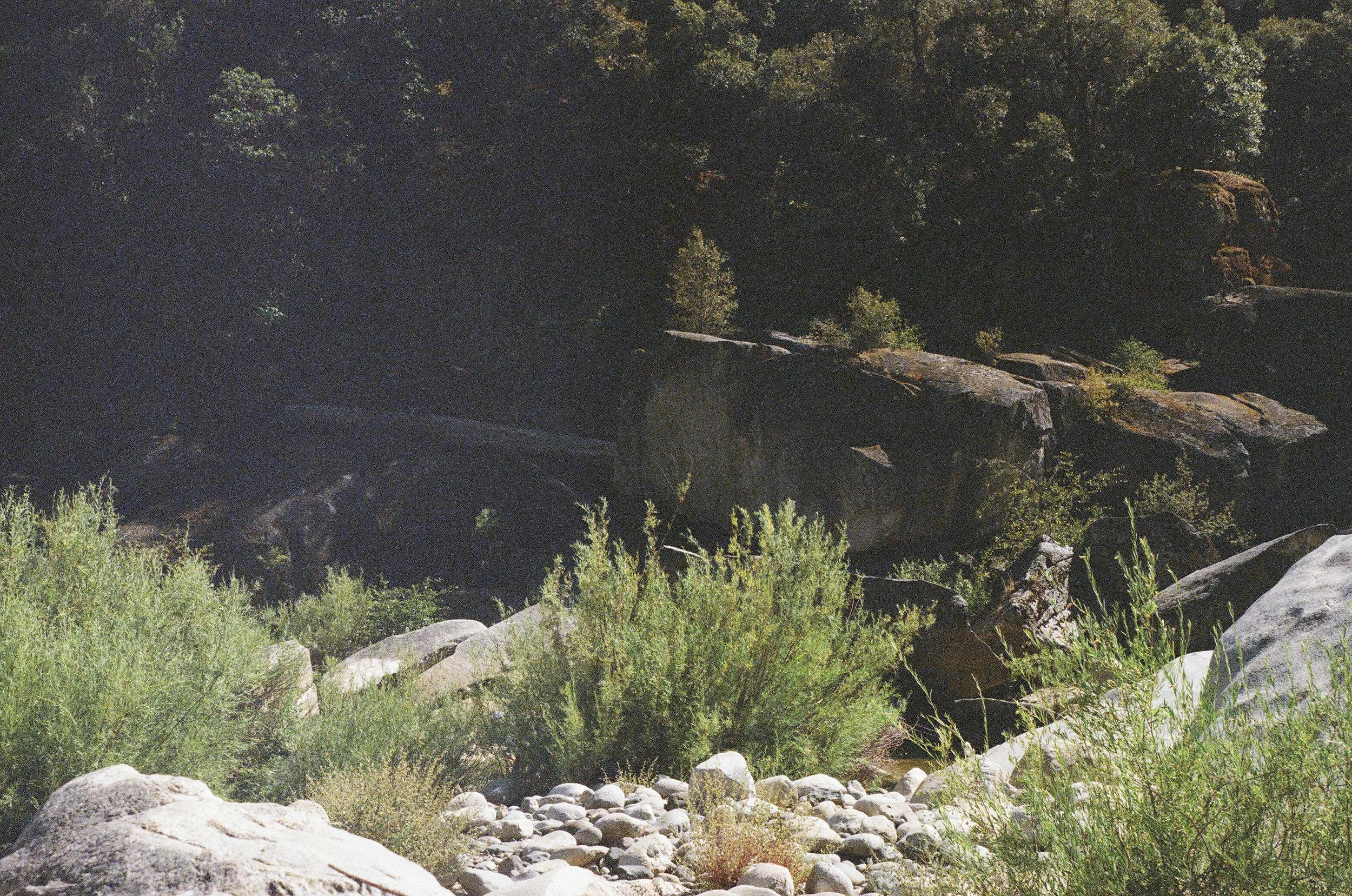 7397 - 10.JPG