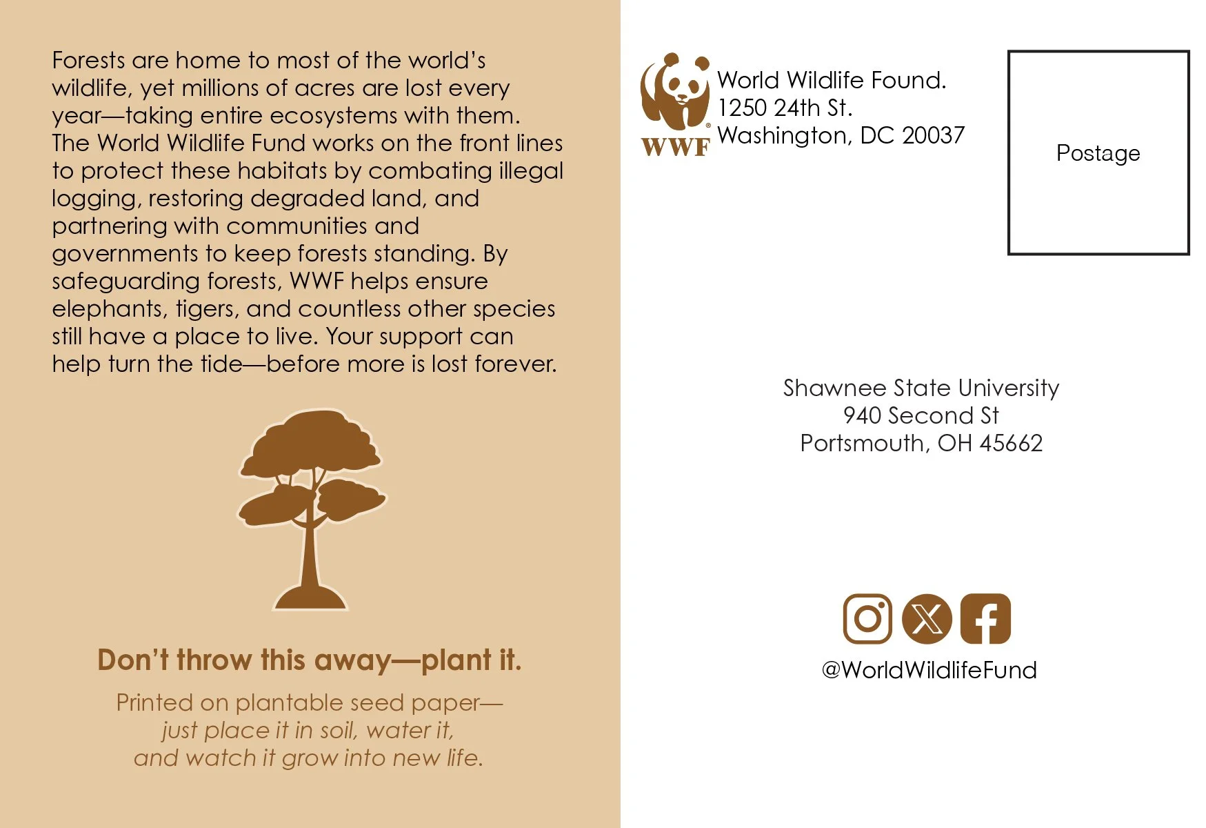 Kristie Evans Social Advocacy Seed Paper Postcard back.jpg