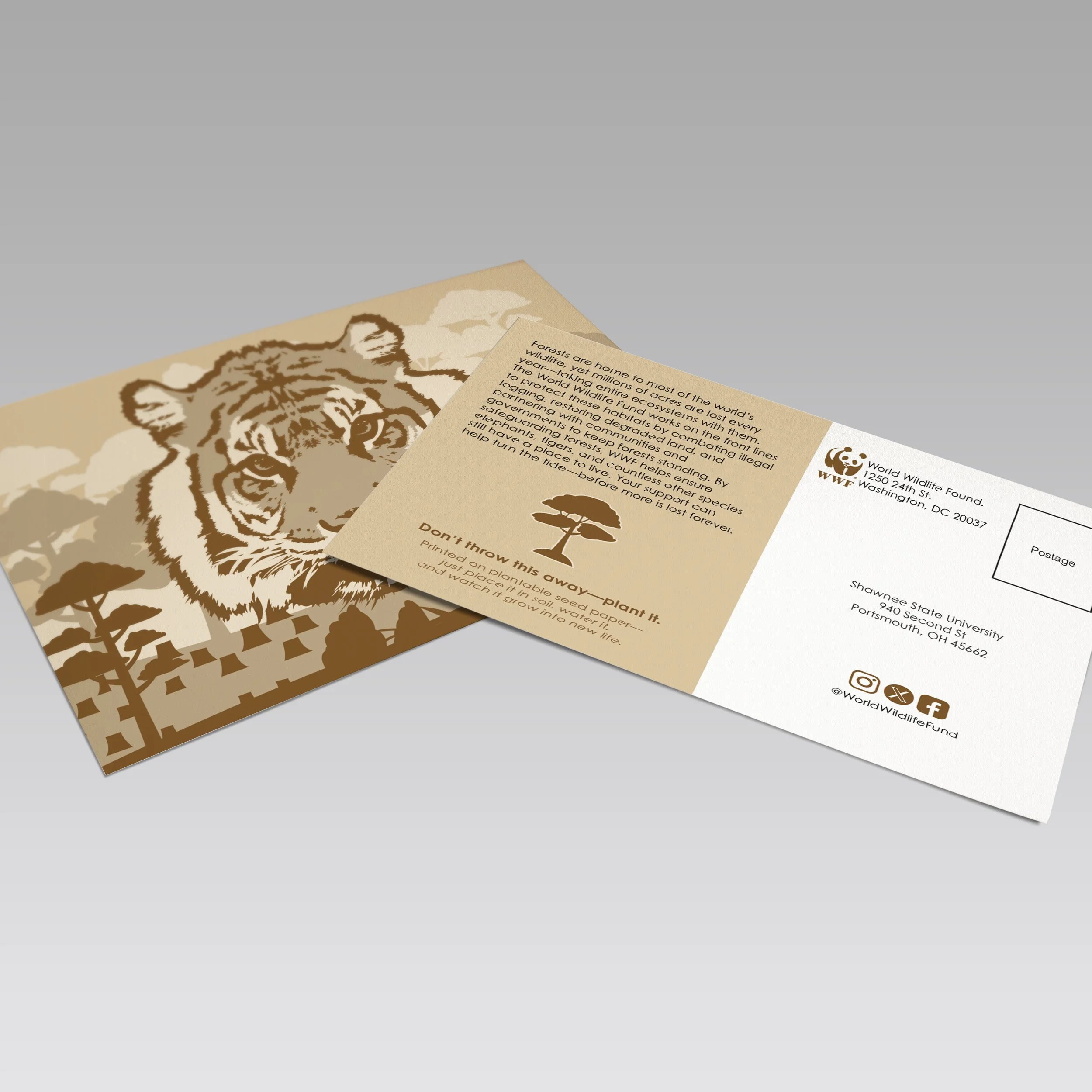 Social Advocacy Mailer Mockup.jpg