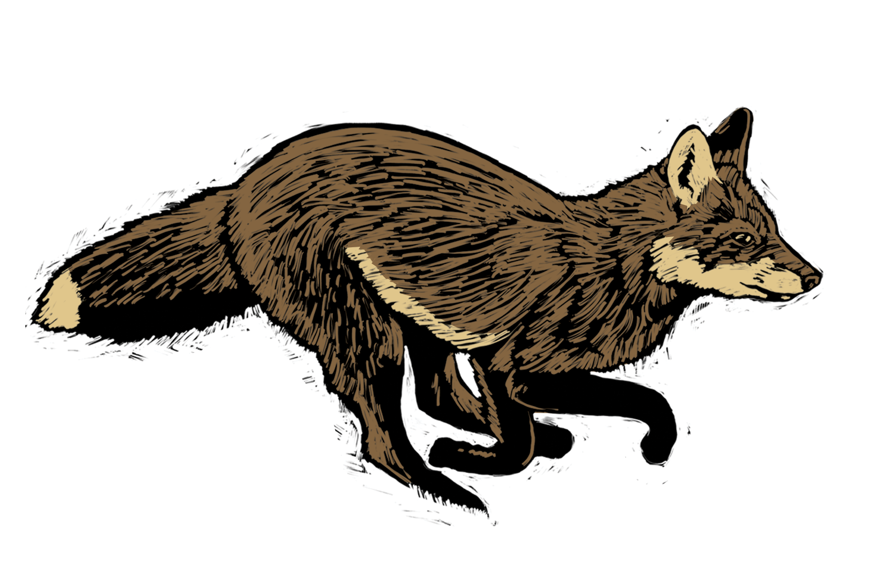 Kristie Evans Sticker 2.png