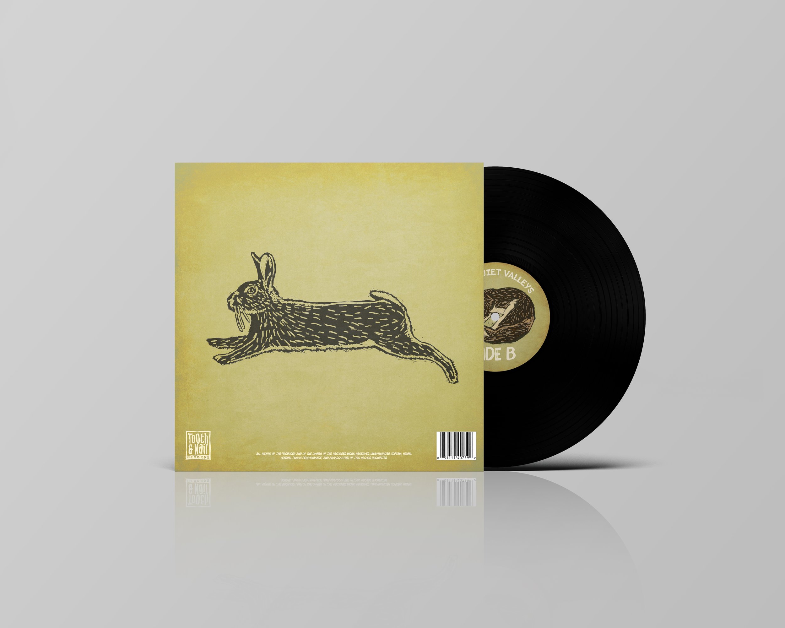 Vinyl Record Mockup Back.jpg