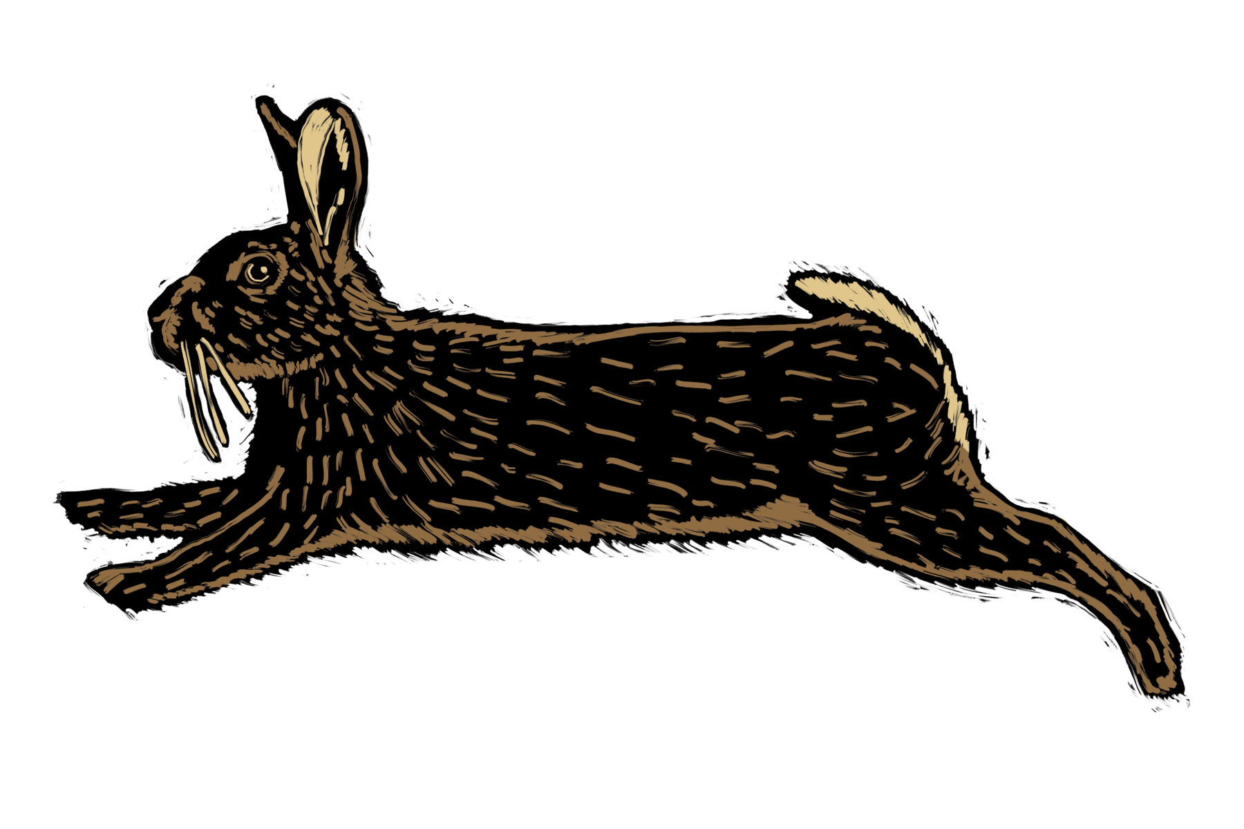 Kristie Evans Sticker 4.png