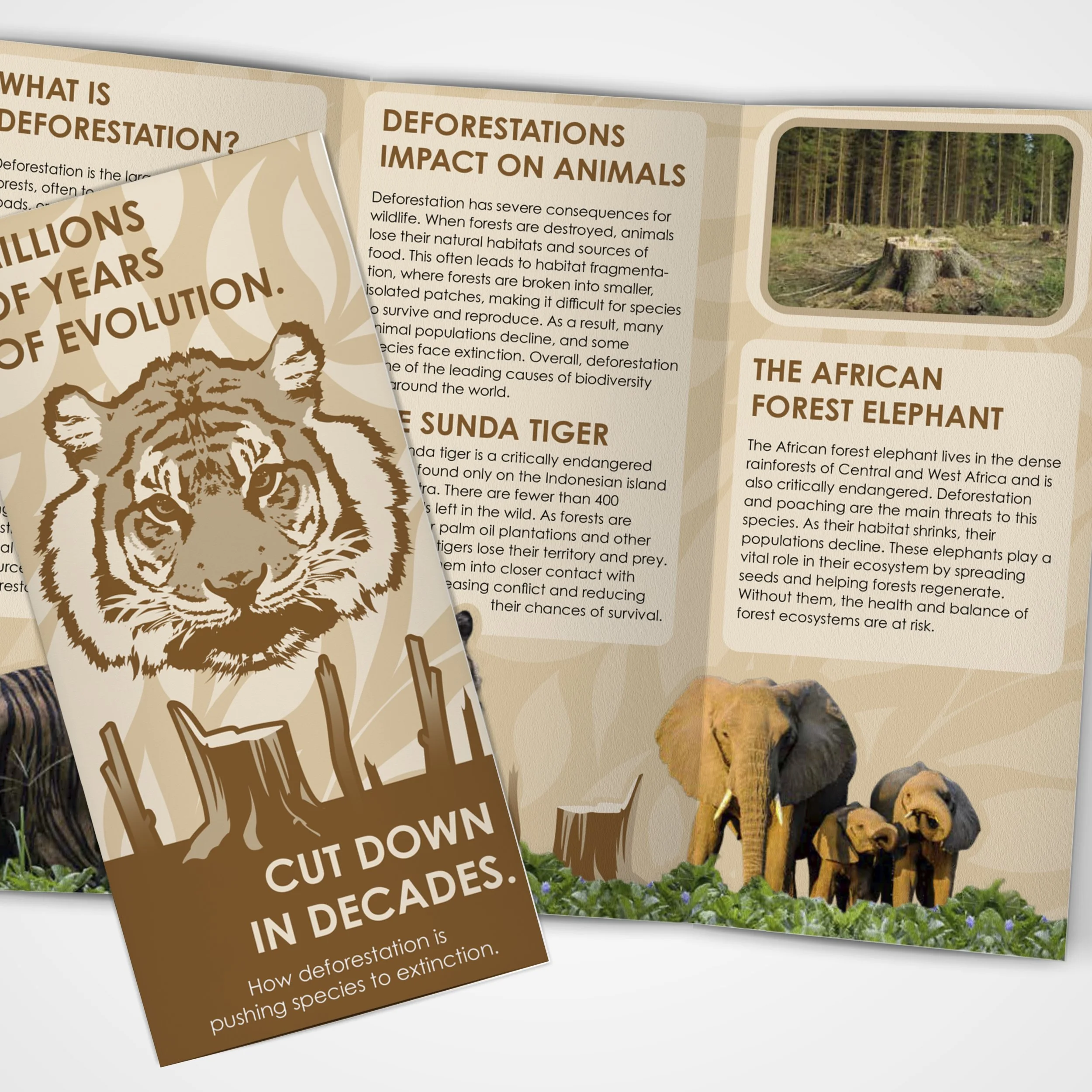 Social Advocacy Trifold Pamphlet Mockup.jpg