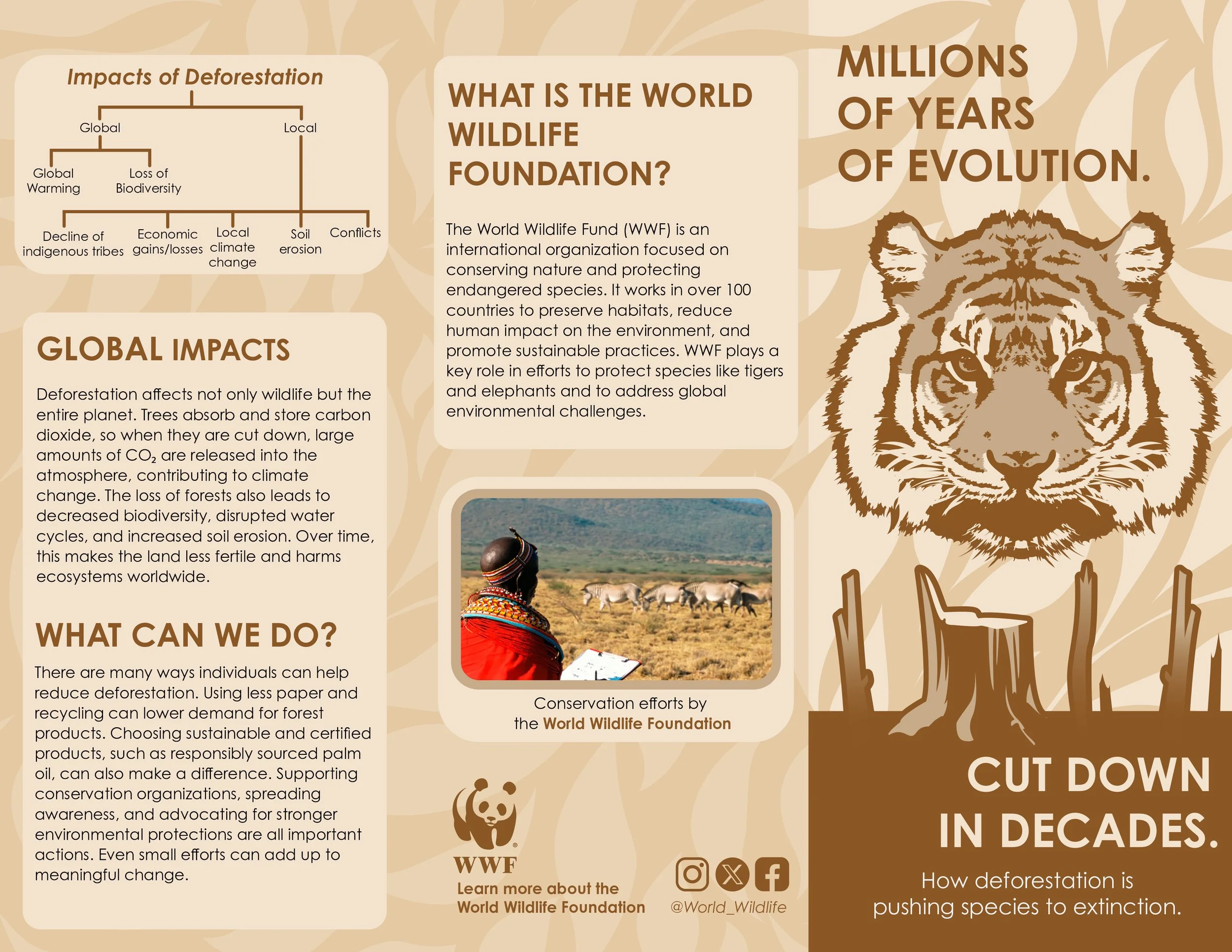 Kristie Evans Social Advocacy Pamphlet- front.jpg