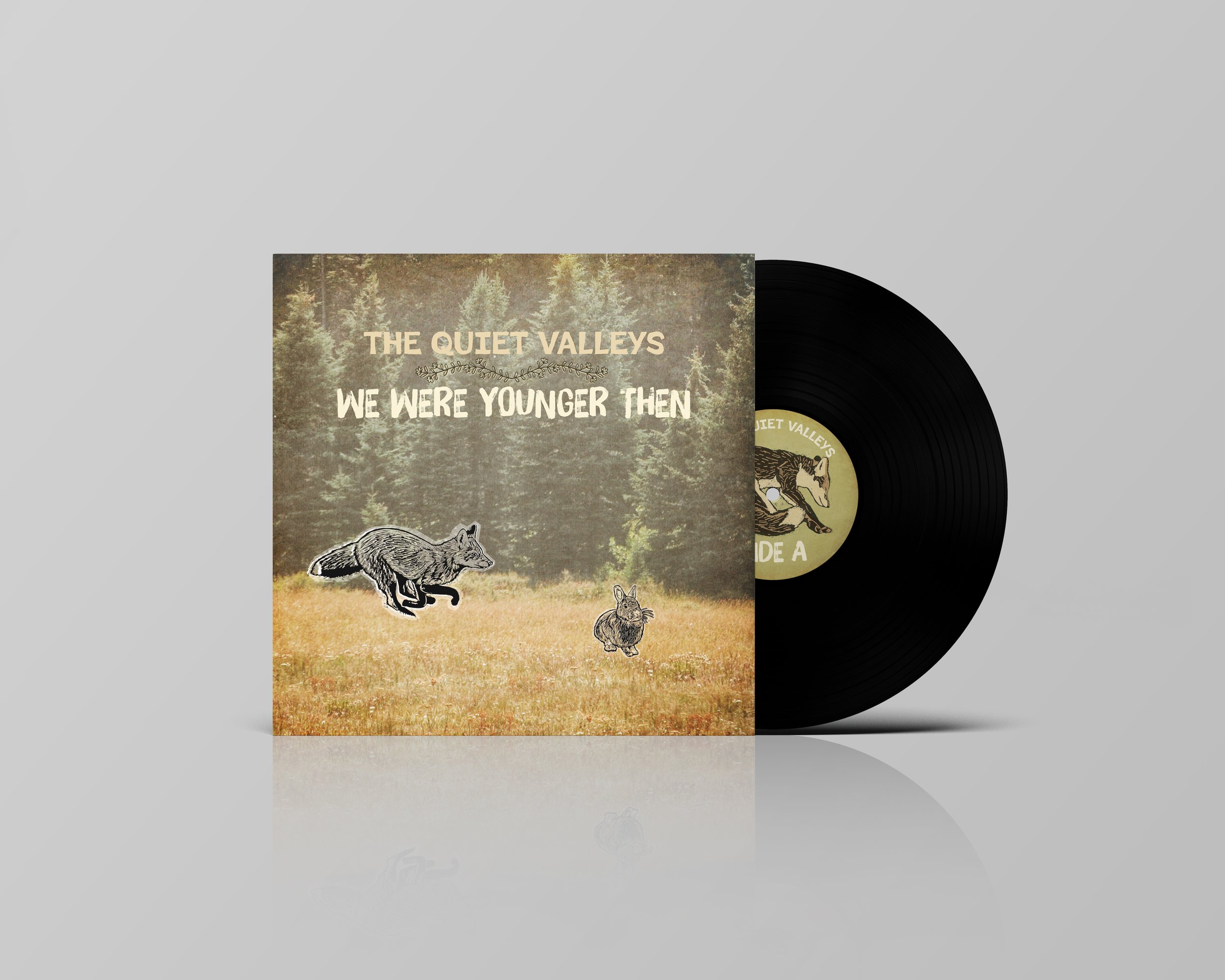 The Quiet Valleys Project
