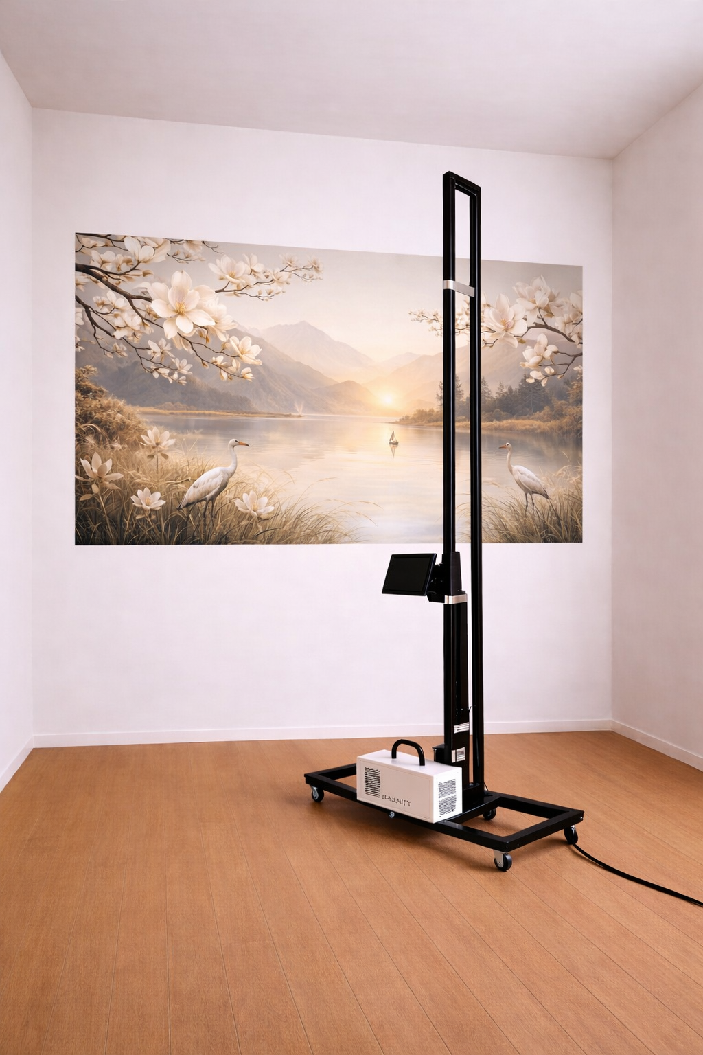 Ireland direct print onto wall