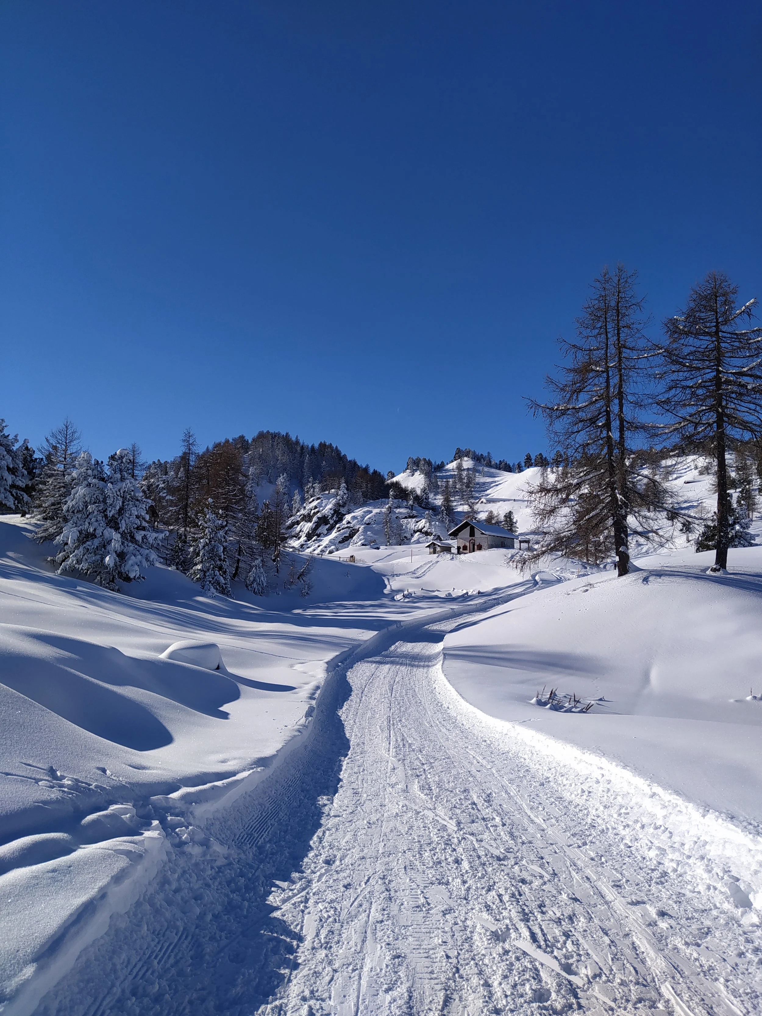 Ciaspolata al Guas Nuovo Fontane - Val Grande di Lanzo
