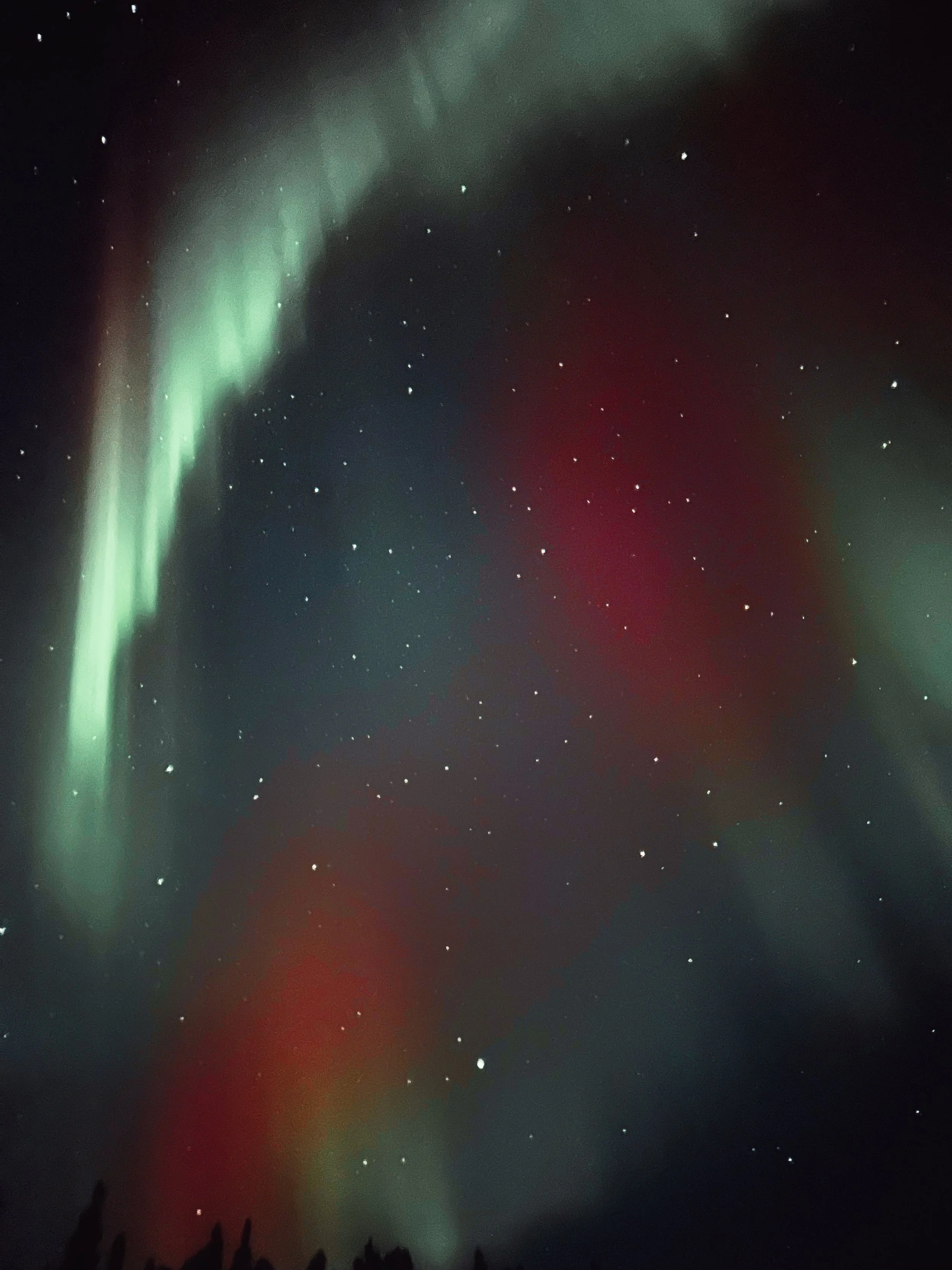 SILVIARUSSELLO_PORTFOLIO (13).jpg