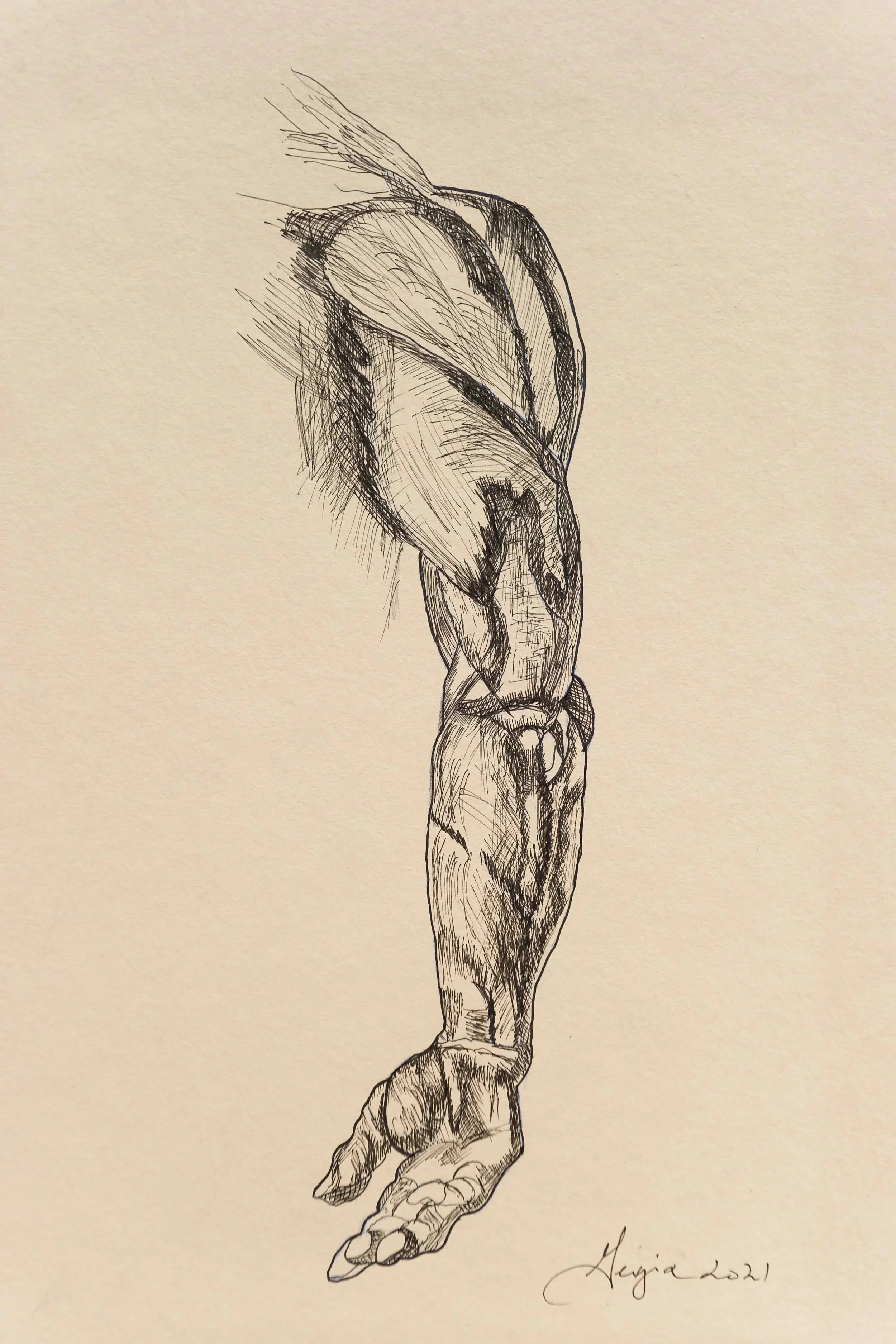 Sketch of a human arm with detailed muscles and hand, signed 'Heya 2021'.